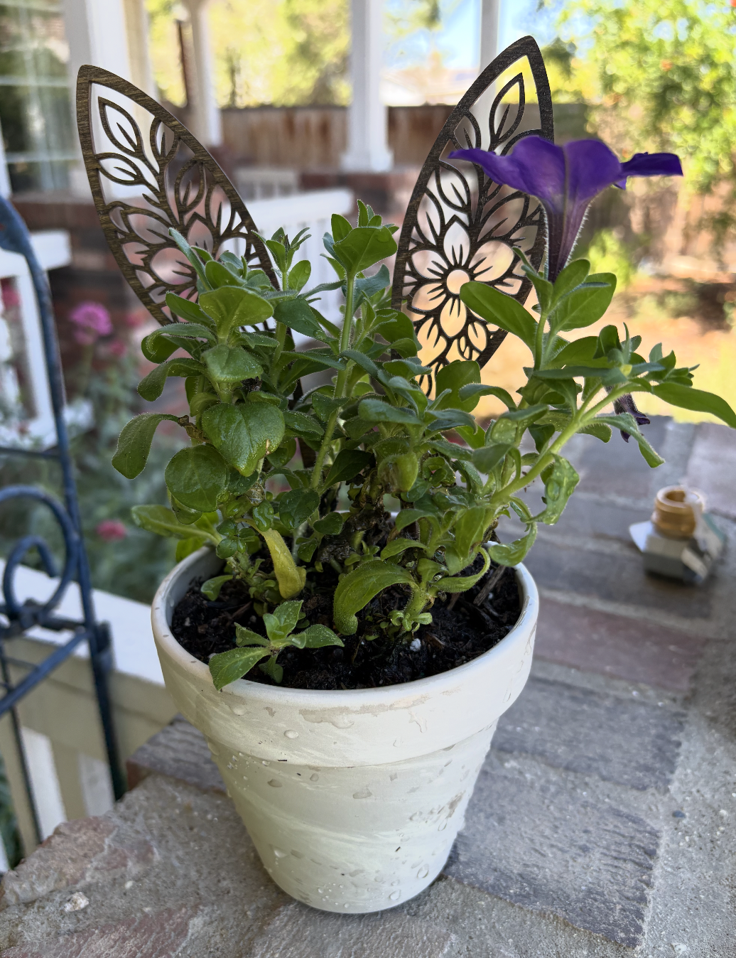 Bunny Ears for Planter