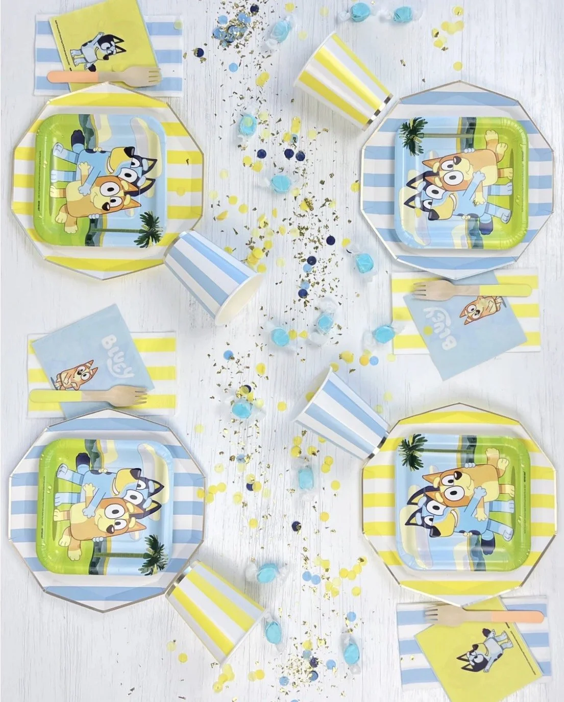 Bluey Cabana Collection