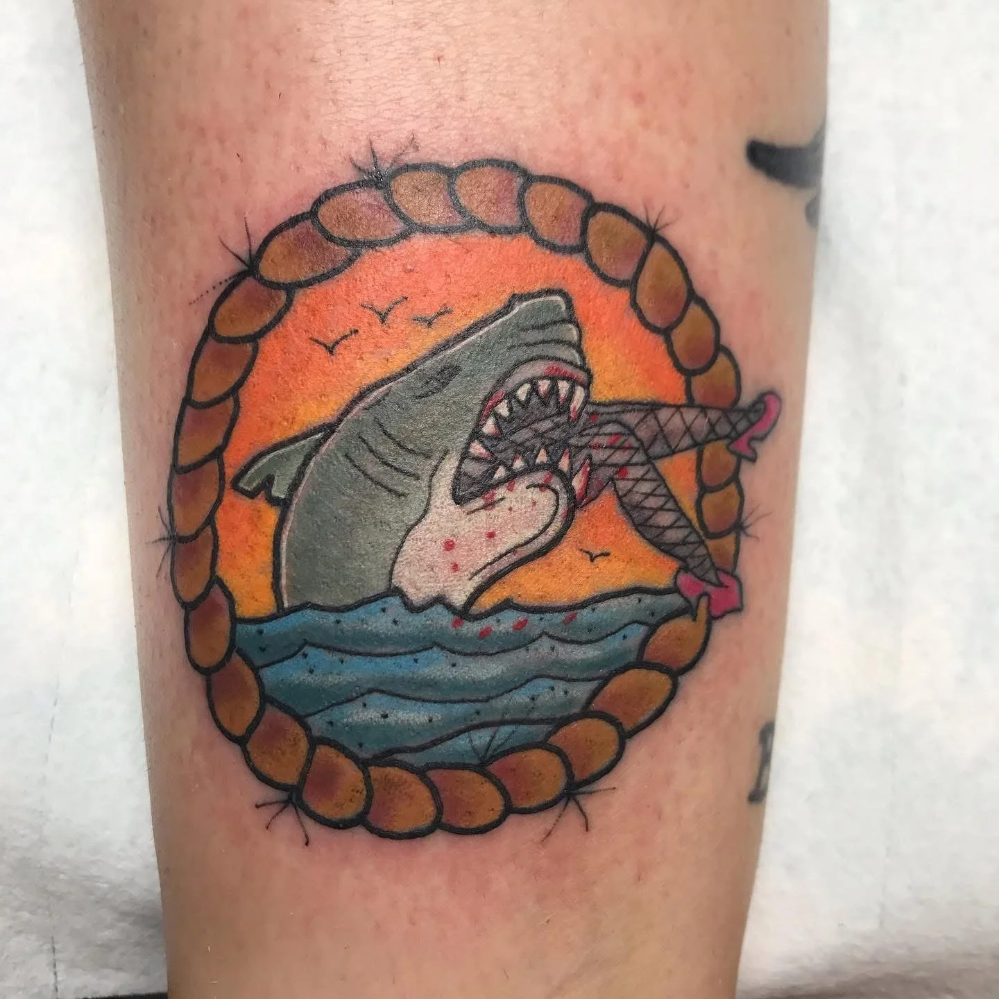 Tattoo of a shark with sharp teeth, holding a fish in its mouth, with an orange sunset and seagulls flying in the background, all enclosed in a circular rope border.
