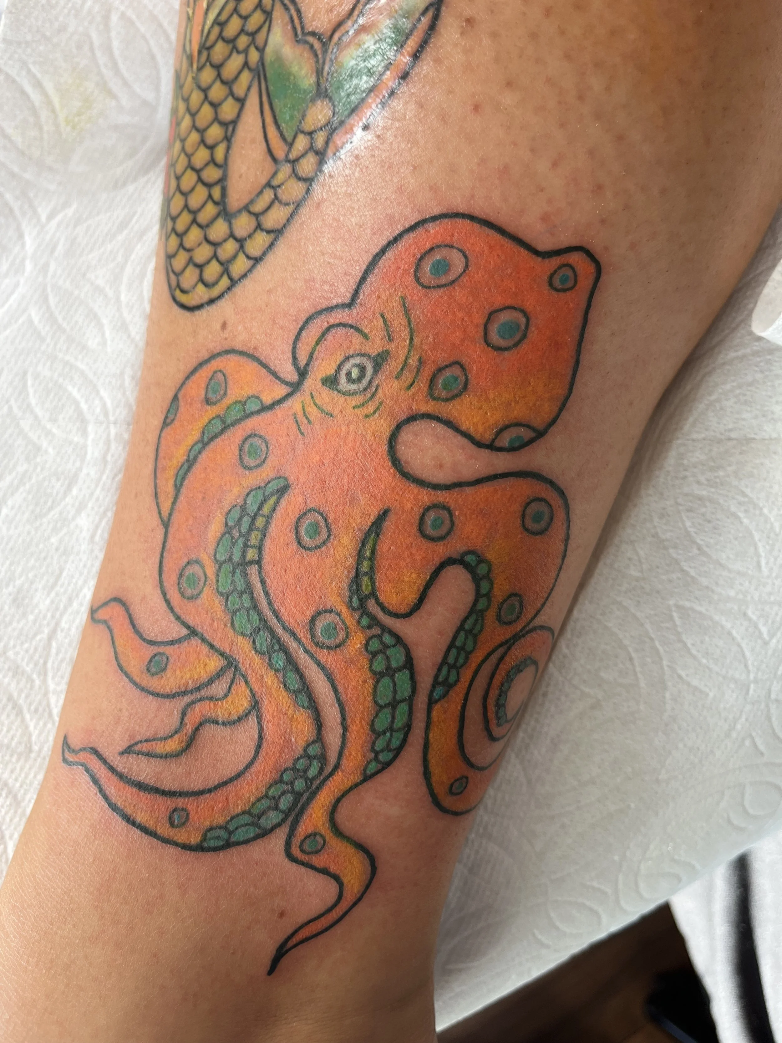 Tattoo of an orange octopus with black outlines and green details on a person's arm.