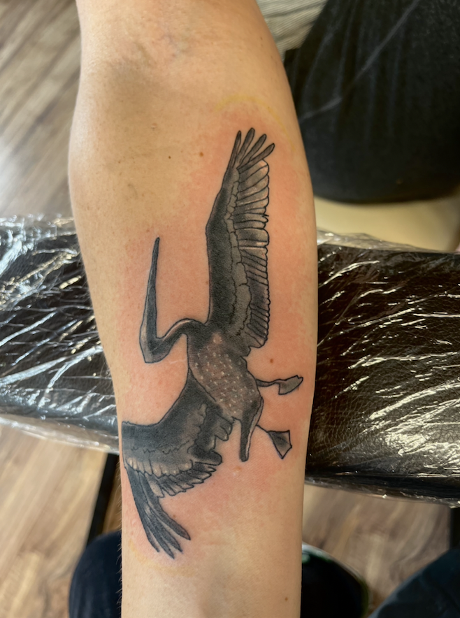 Tattoo of a heron bird in flight on a person's forearm.