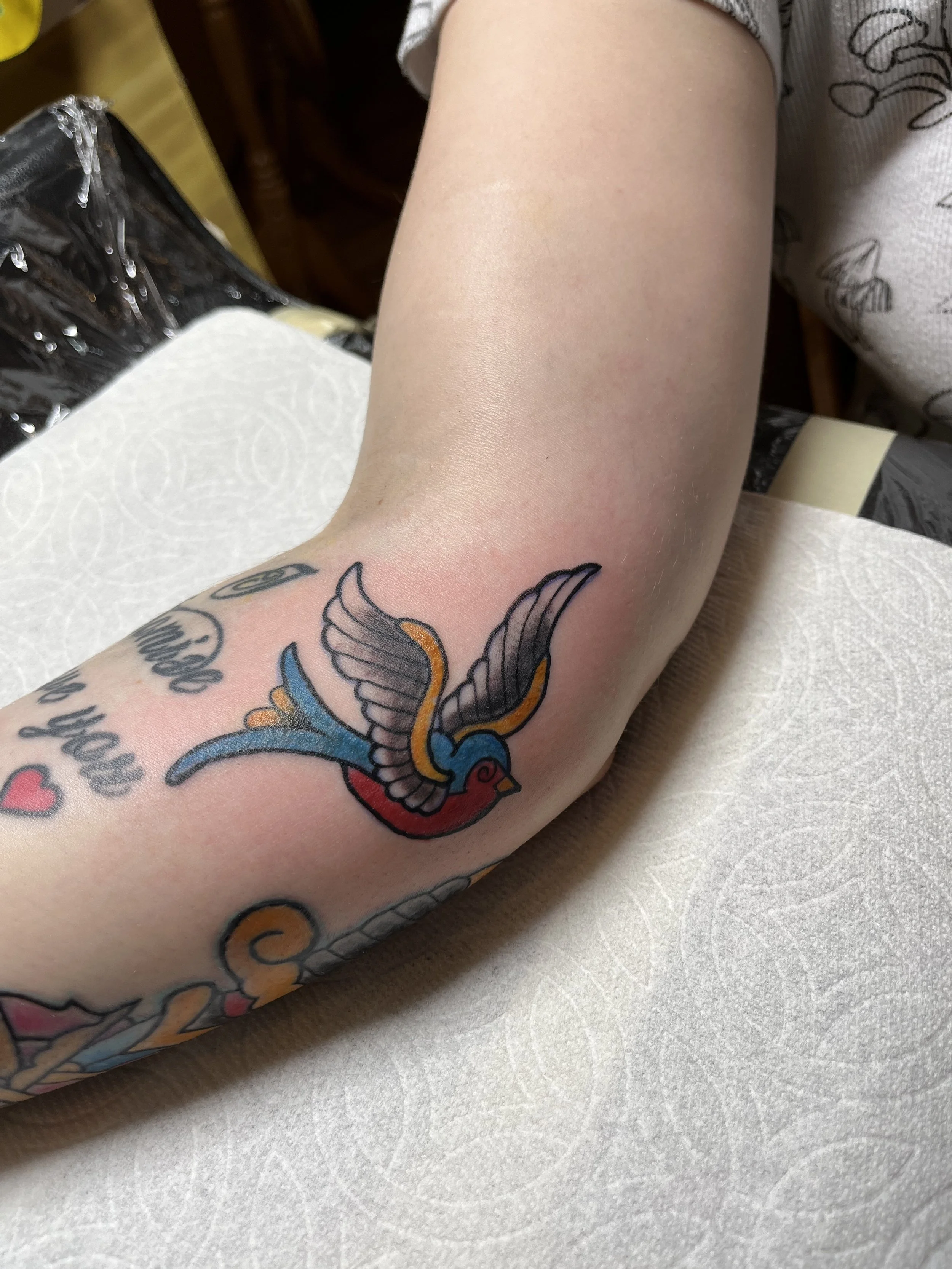 Colorful tattoo of a bird with outstretched wings and a long tail on person's forearm.