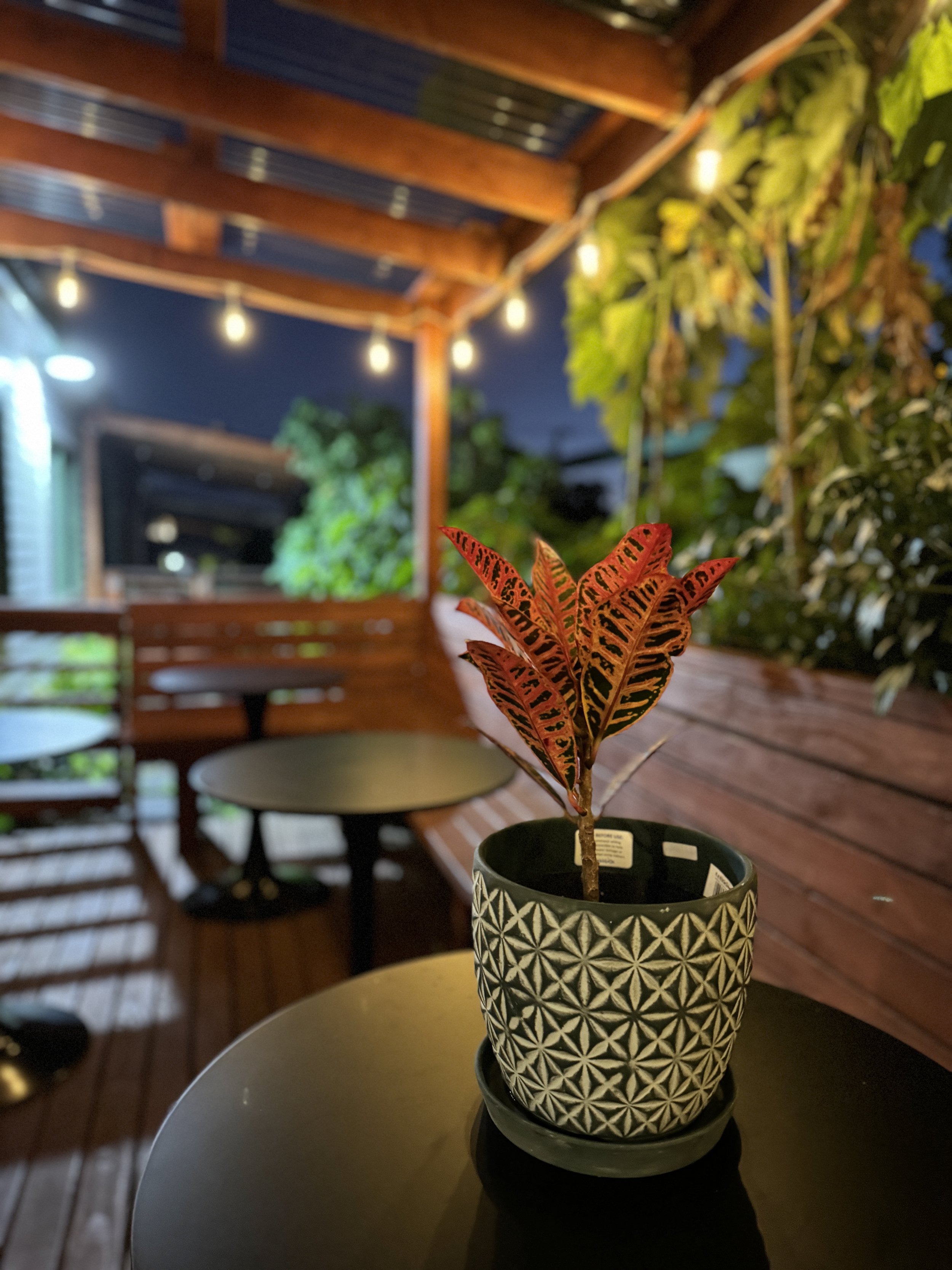 Enjoy our outdoor seating, while listening to great music