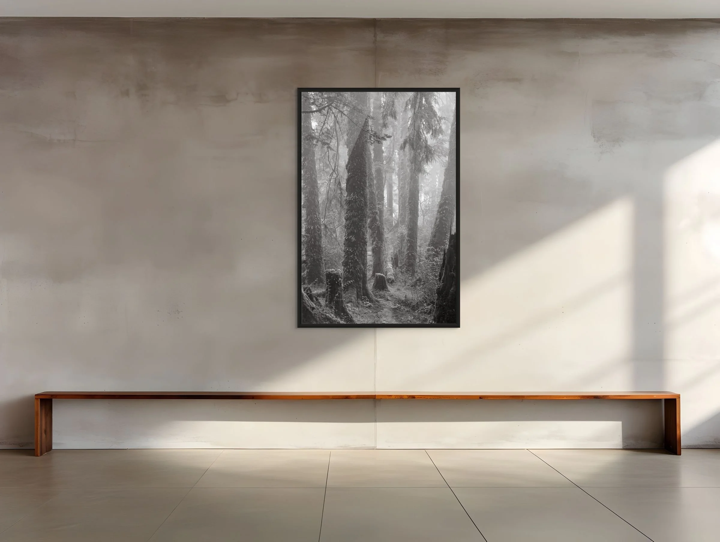 himalayan forest 2-large.jpg