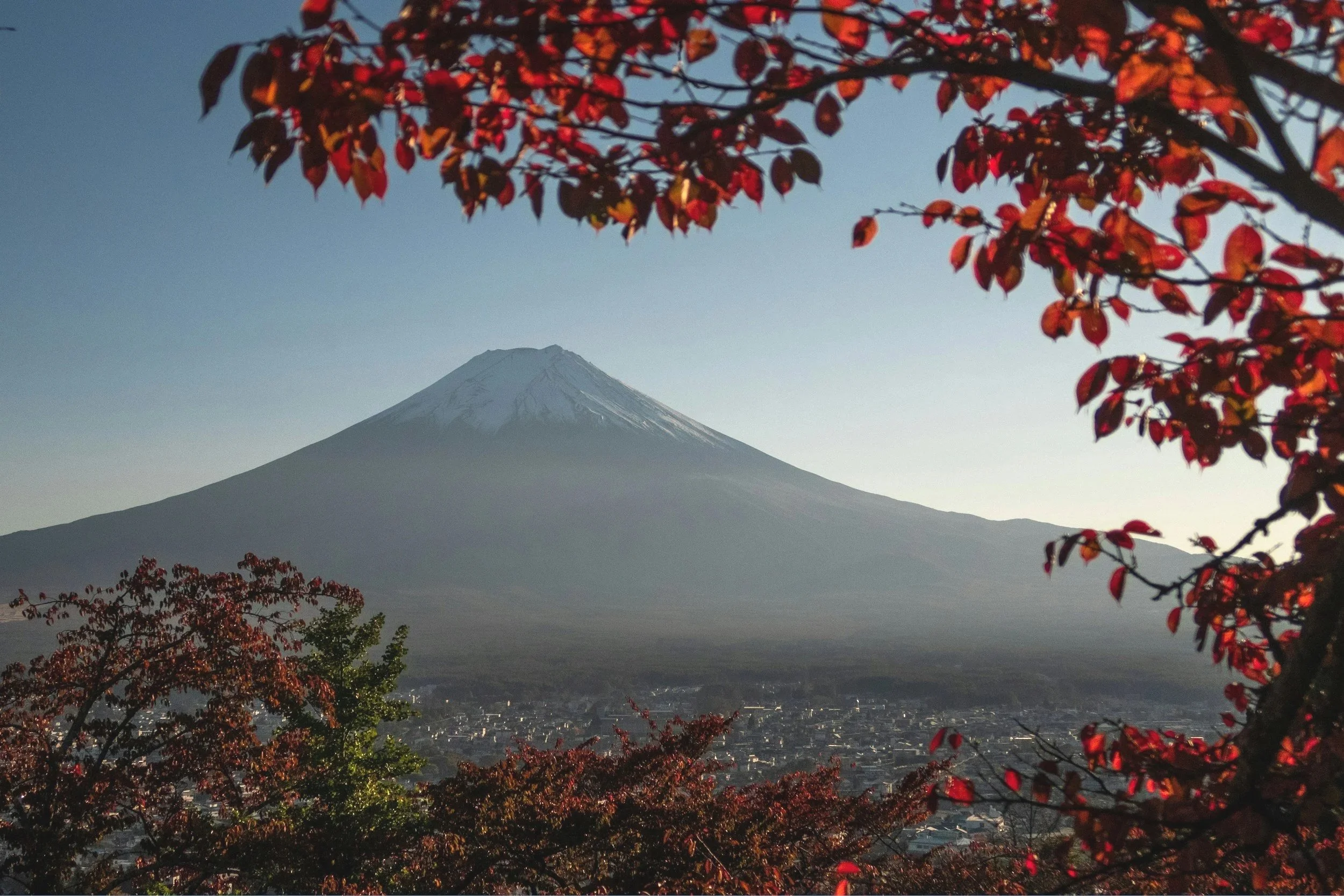 Citi Adds 1:1 Transfers to Japan Airlines - Why It Matters for Japan Trips