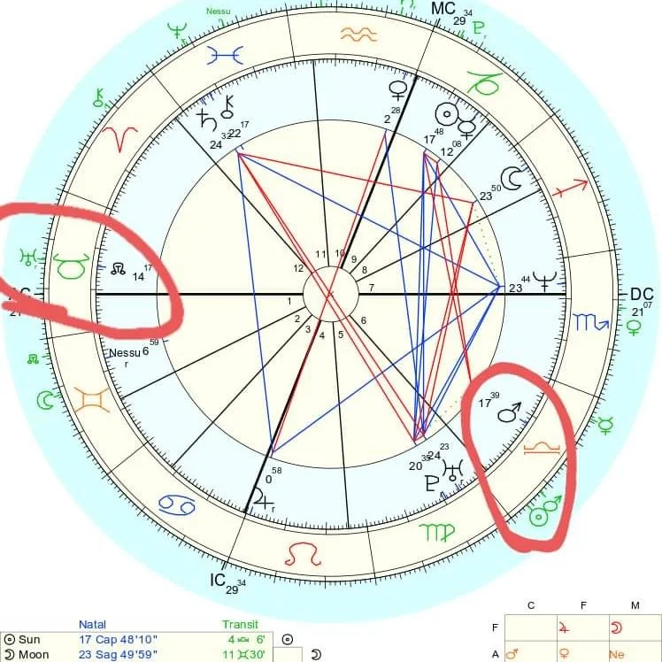 ASTROLOGY IN REAL LIFE: The Unhealed Artist