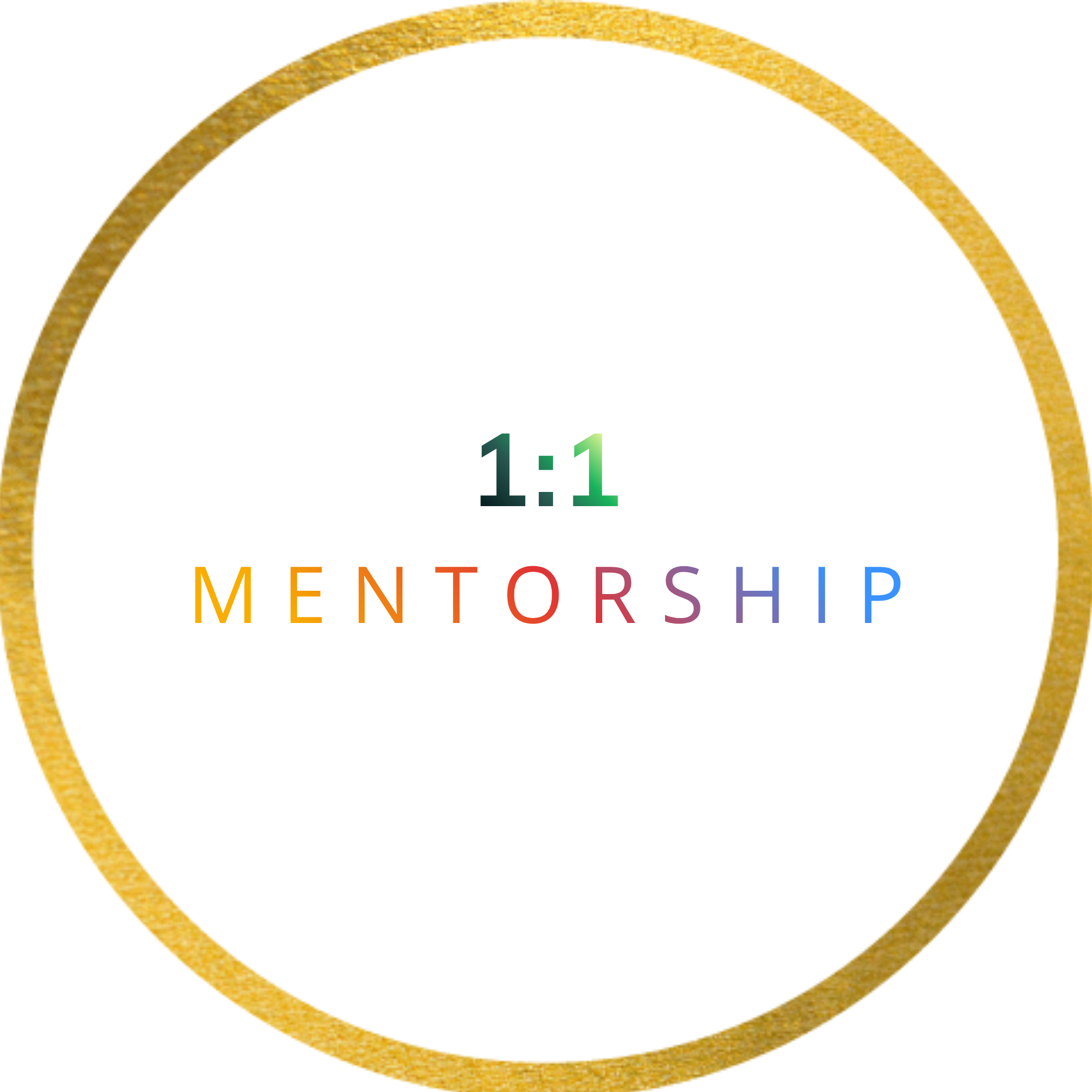 1:1 Mentorship