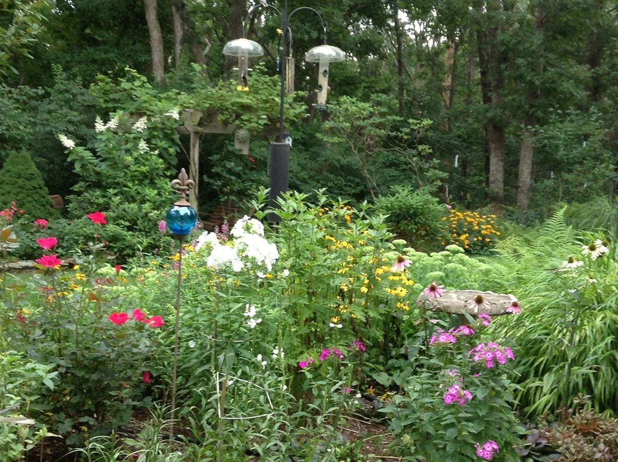 8-18-13c.jpg