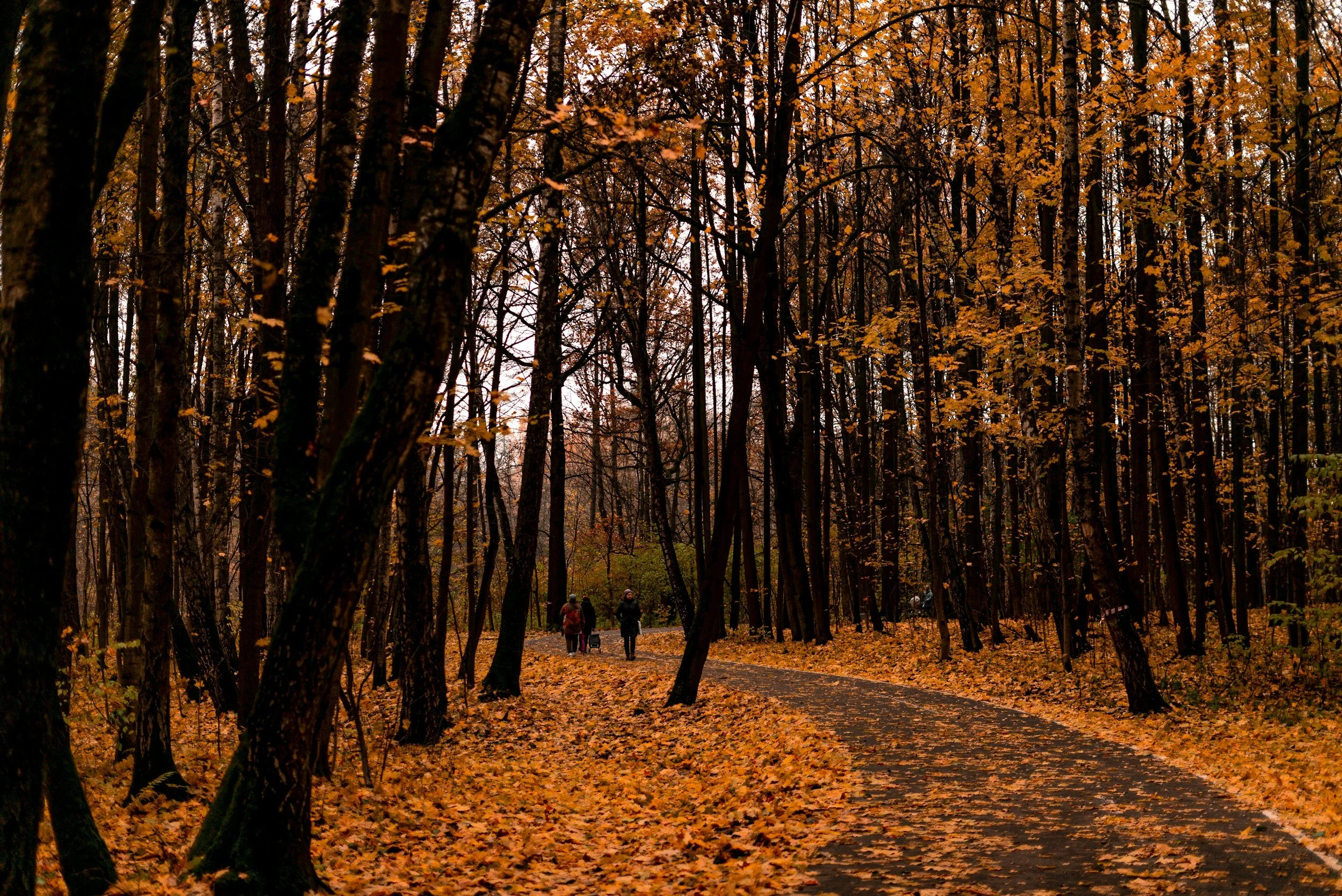 Joys of Autumn Change