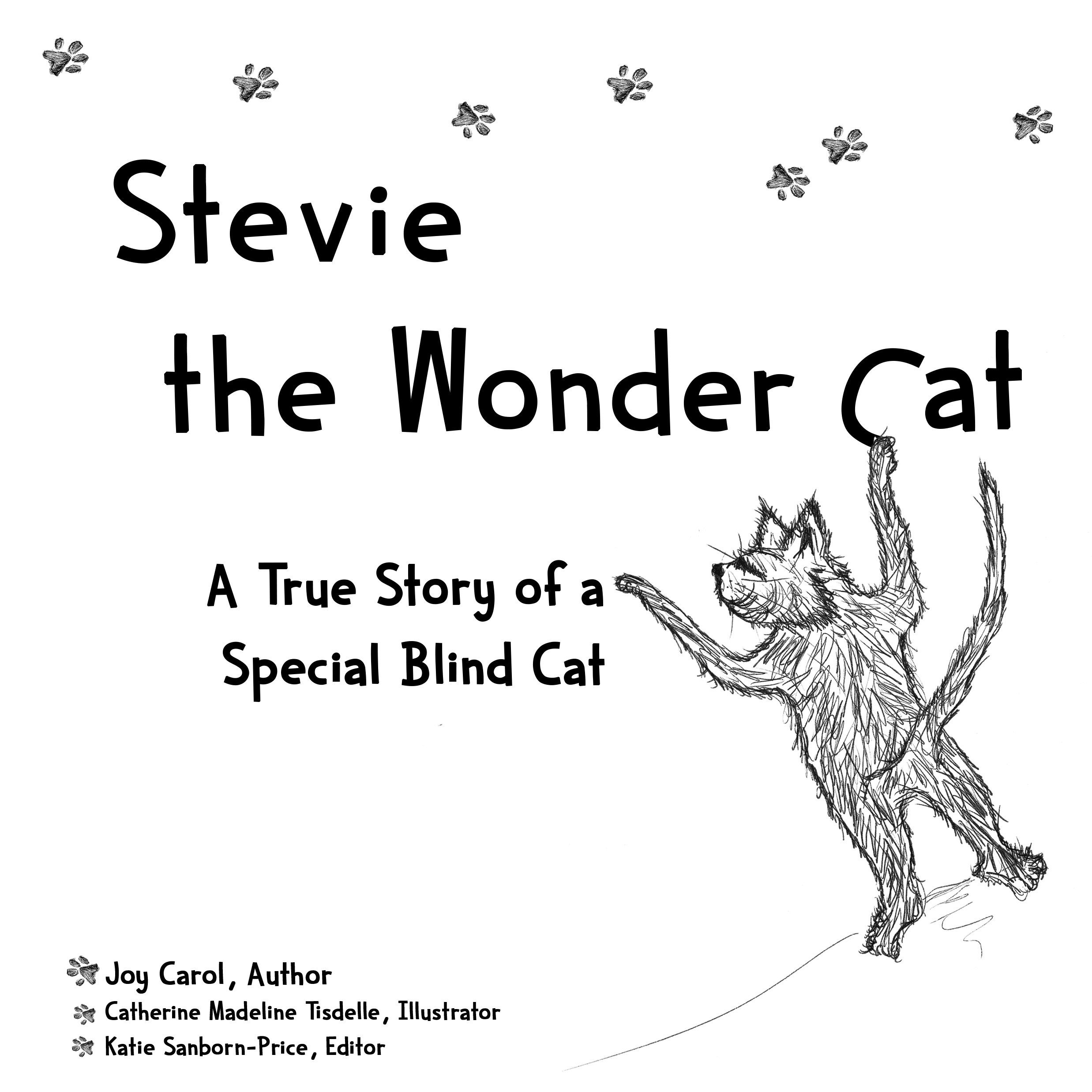 Stevie the Wonder Cat