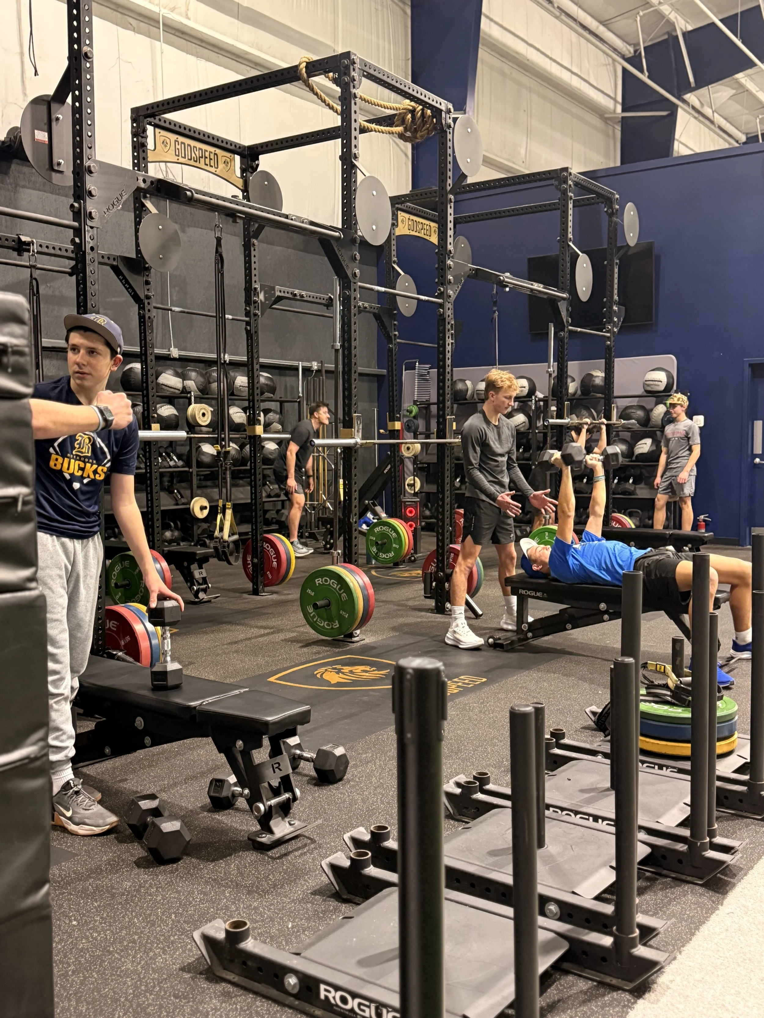 People working out at a gym, lifting weights and doing exercises, with black racks, plates, and equipment around.