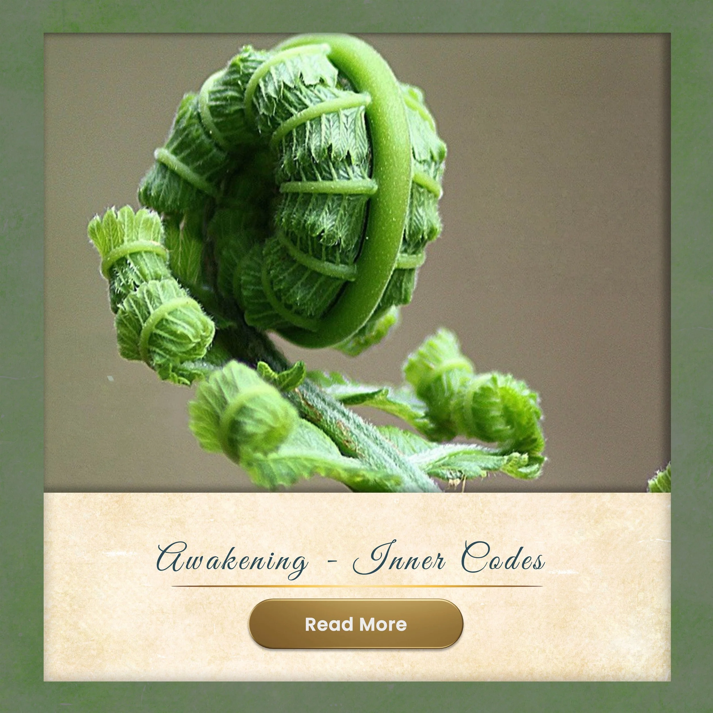 The Awakening - Your Inner Codes to Enlightenment