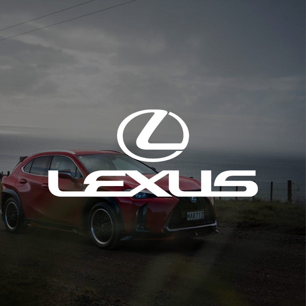 Auckland's best digital marketing agency nz  ahead digital