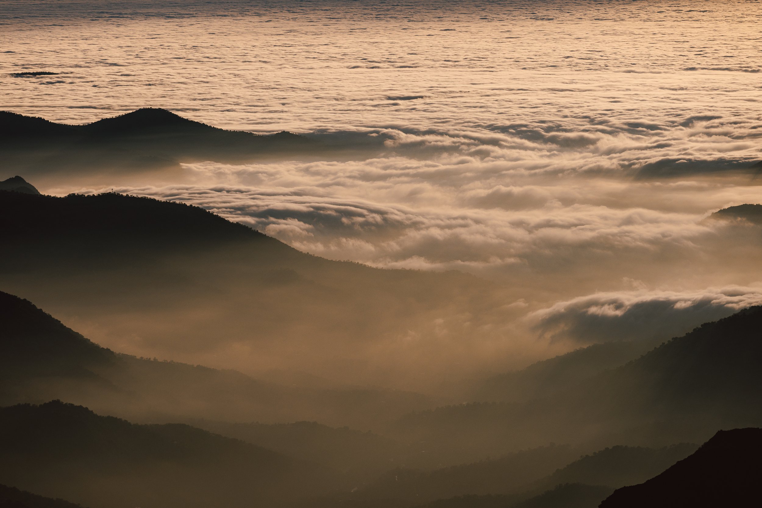 Sequoia Day 2-32.jpg