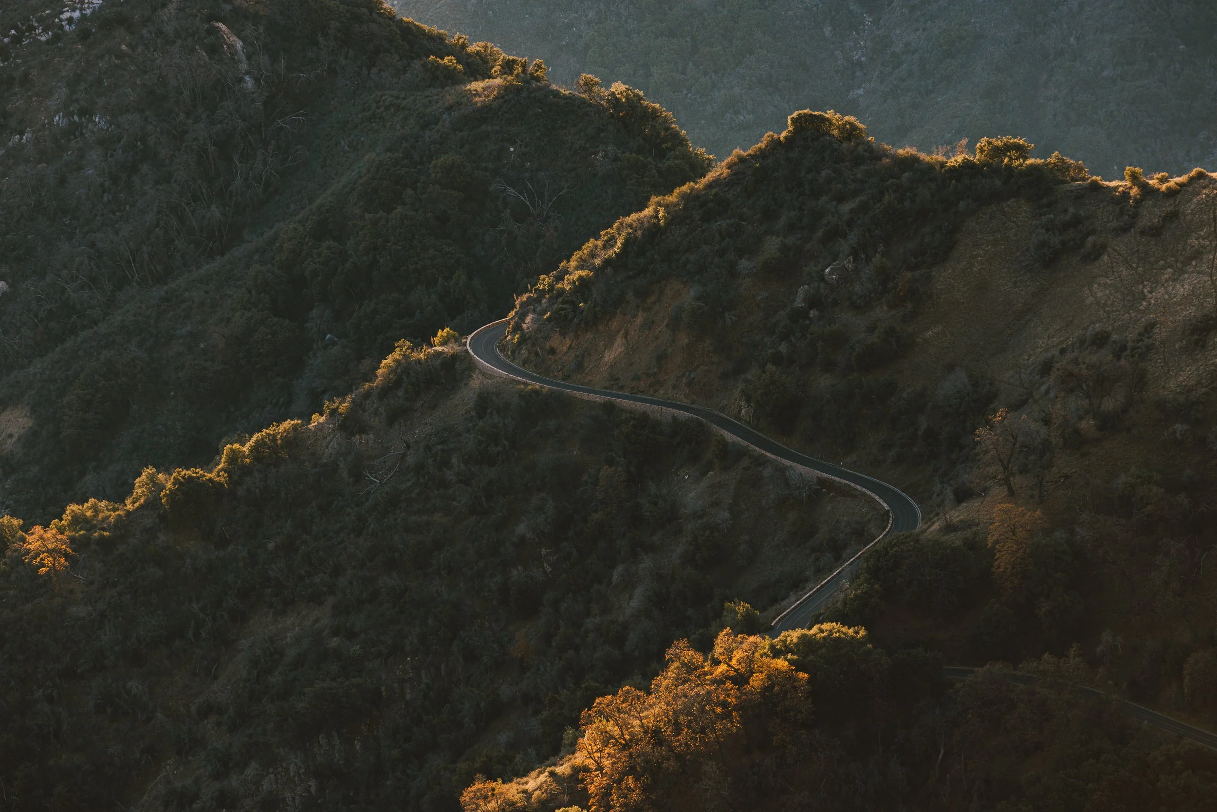 Sequoia Day 2-34.jpg