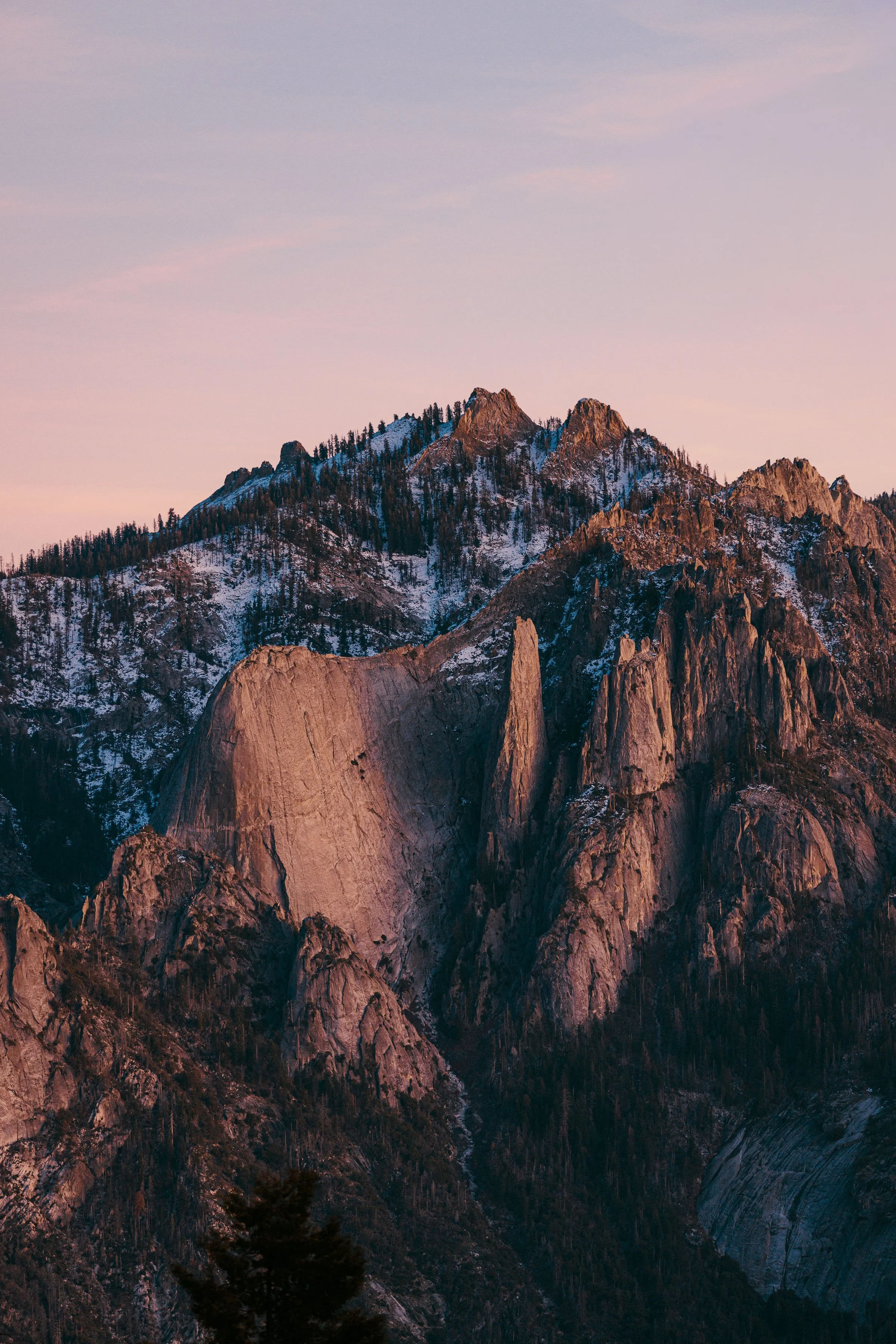 Sequoia Day 2-41.jpg