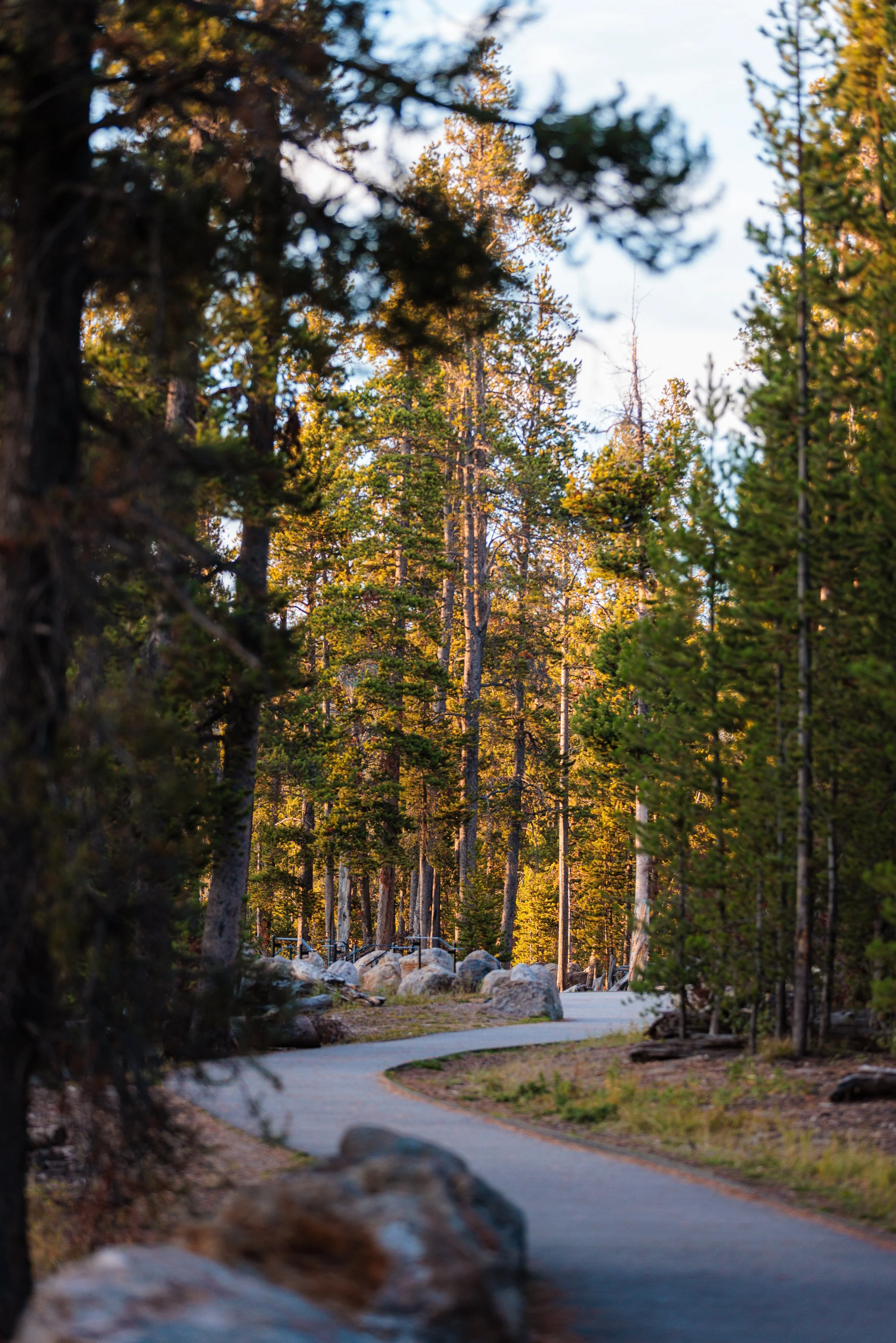 Yellowstone Day 2-63.jpg