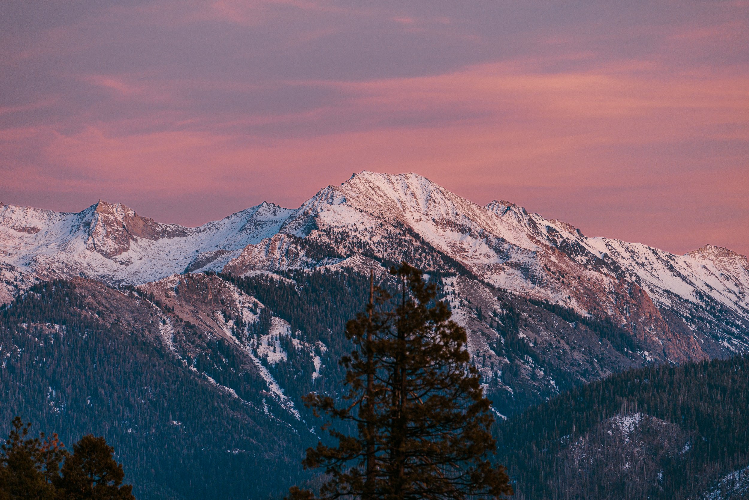 Sequoia Day 2-40.jpg