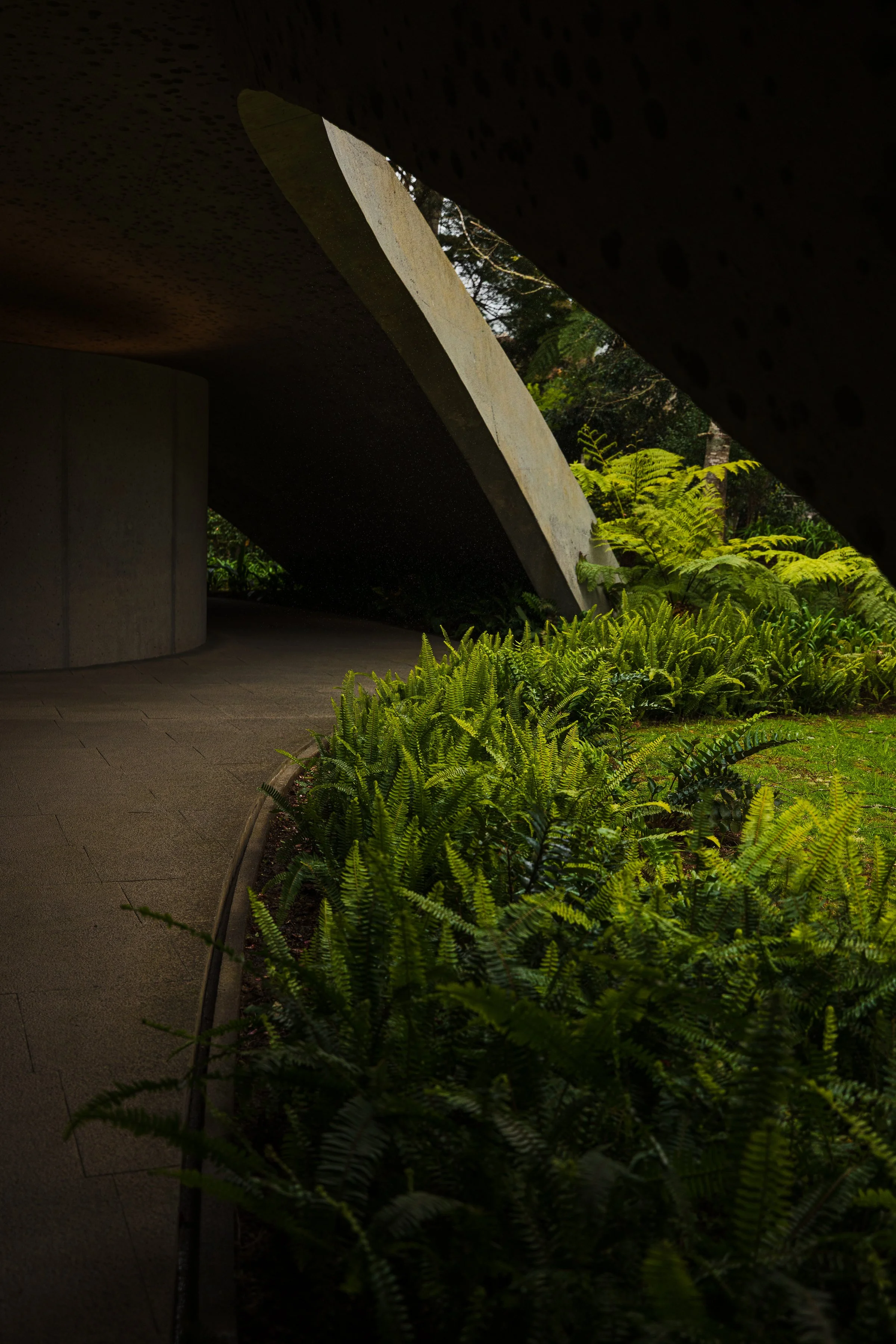 Curved concrete structure with lush green ferns and foliage underneath and behind.