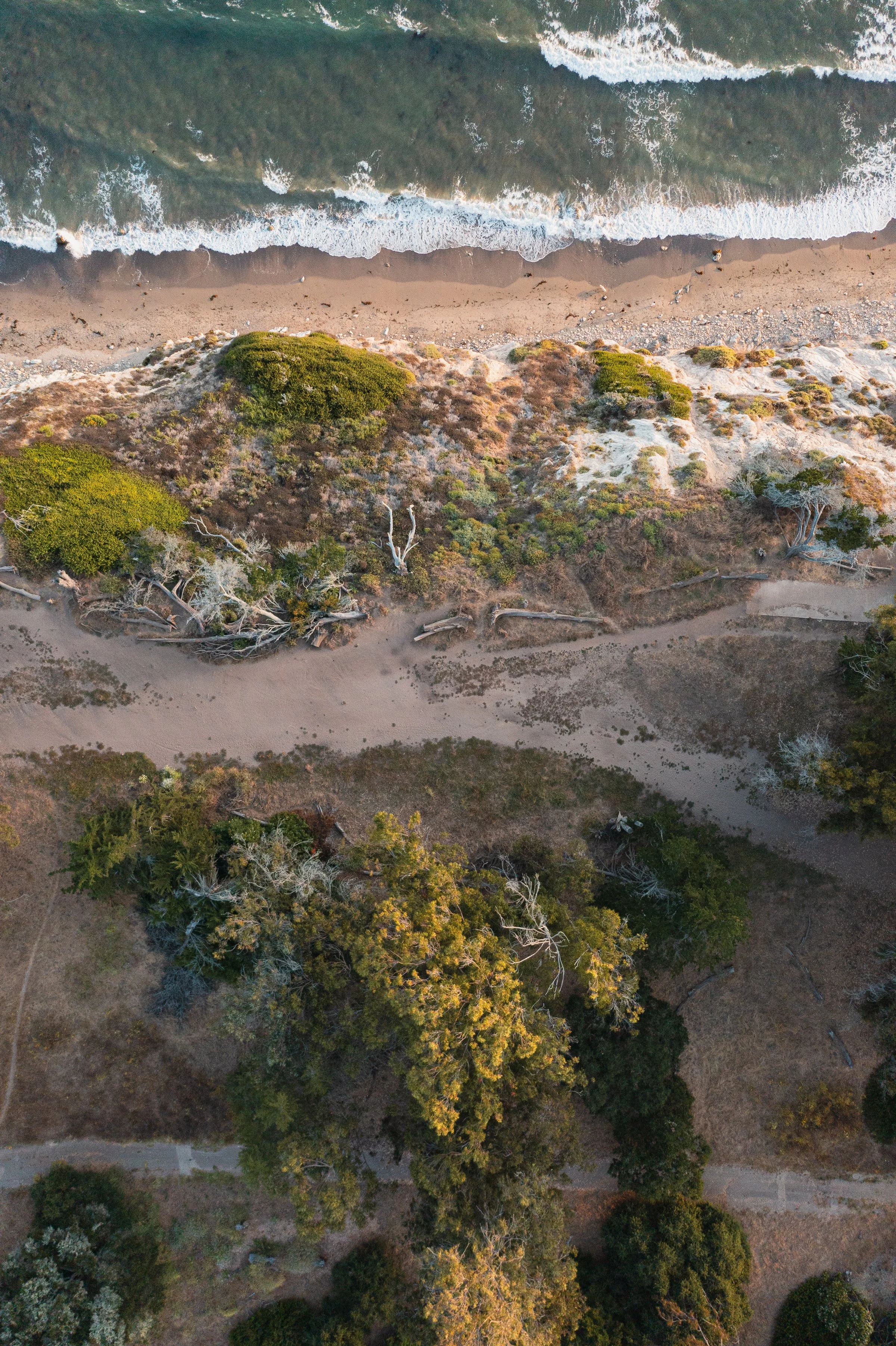 Douglas Family Preserve-Drone-14.jpg