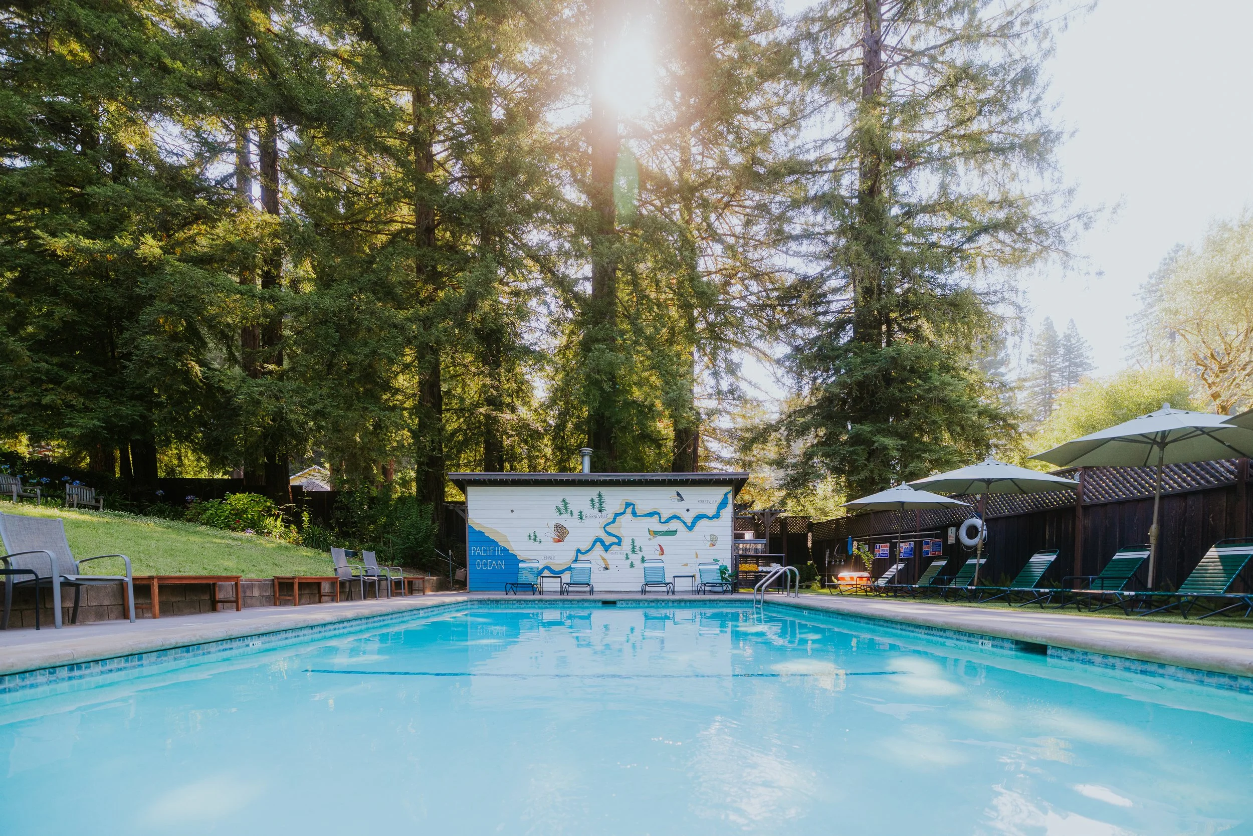 An outdoor swimming pool surrounded by lounge chairs and umbrellas, with a white building featuring a mural of a map and trees, set amidst a wooded area with tall trees and sunlight filtering through.