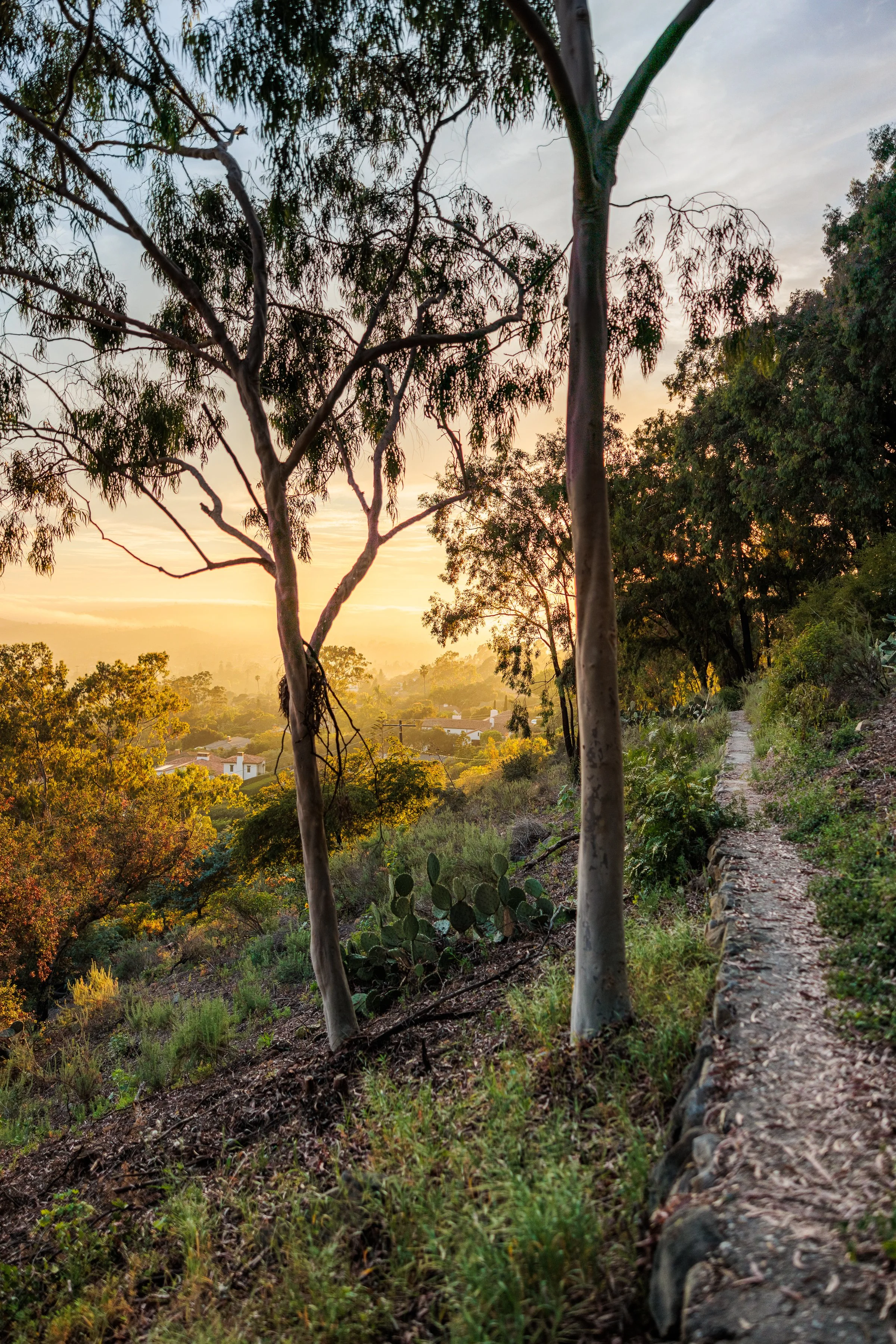 Franceschi Park - Lower Section-55.jpg