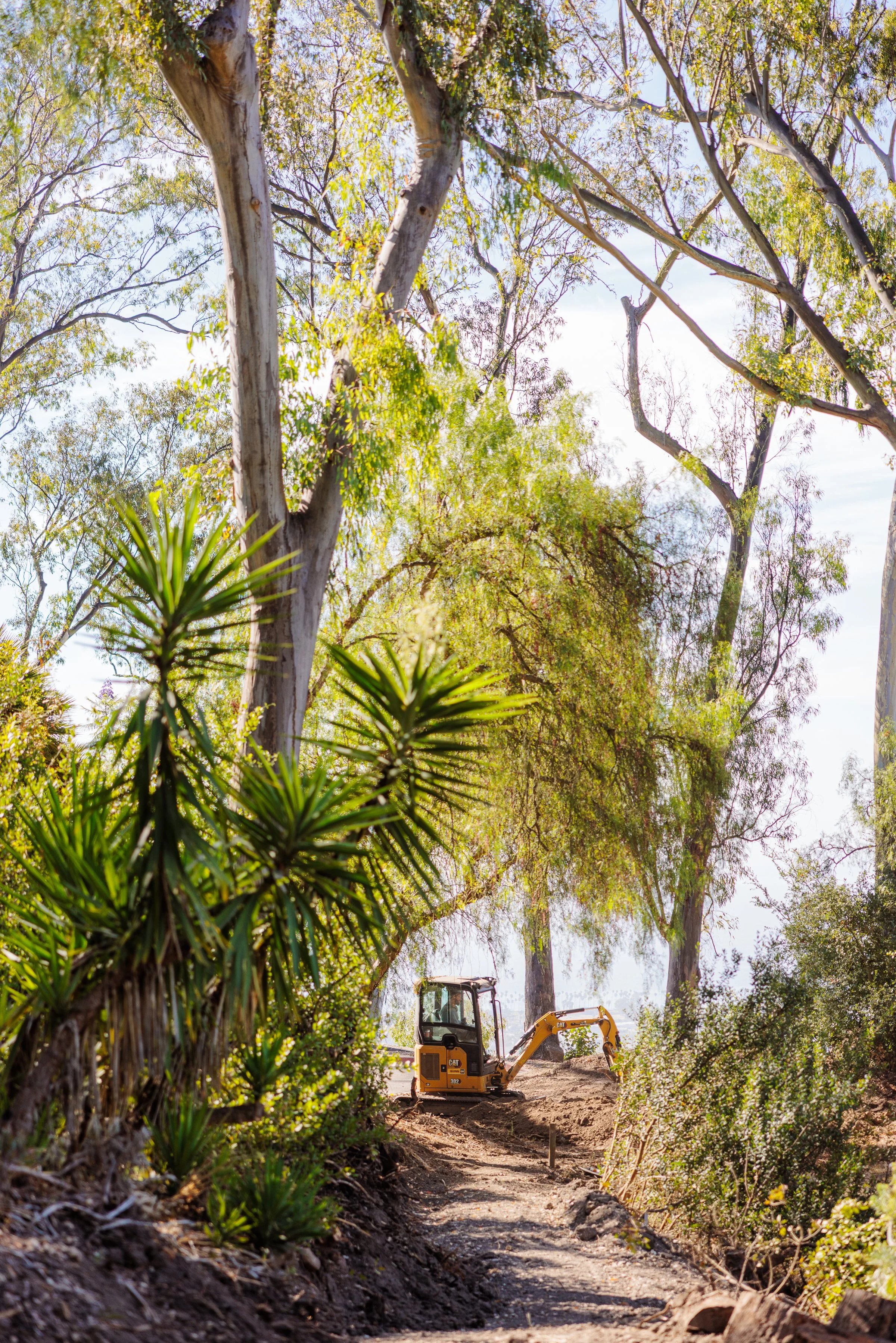 Franceschi Park-Trail Work-9.jpg