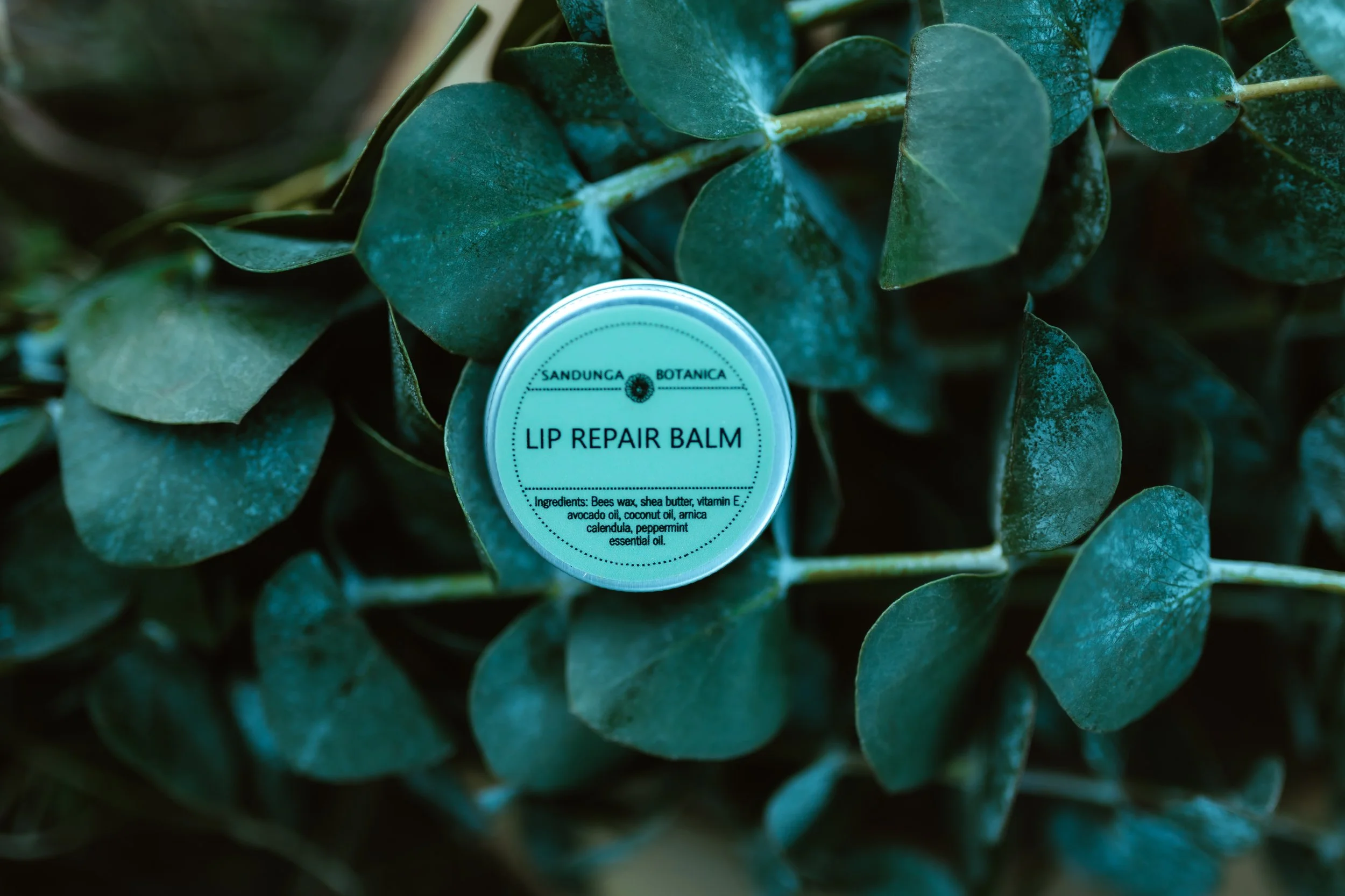 Lip Repair Balm