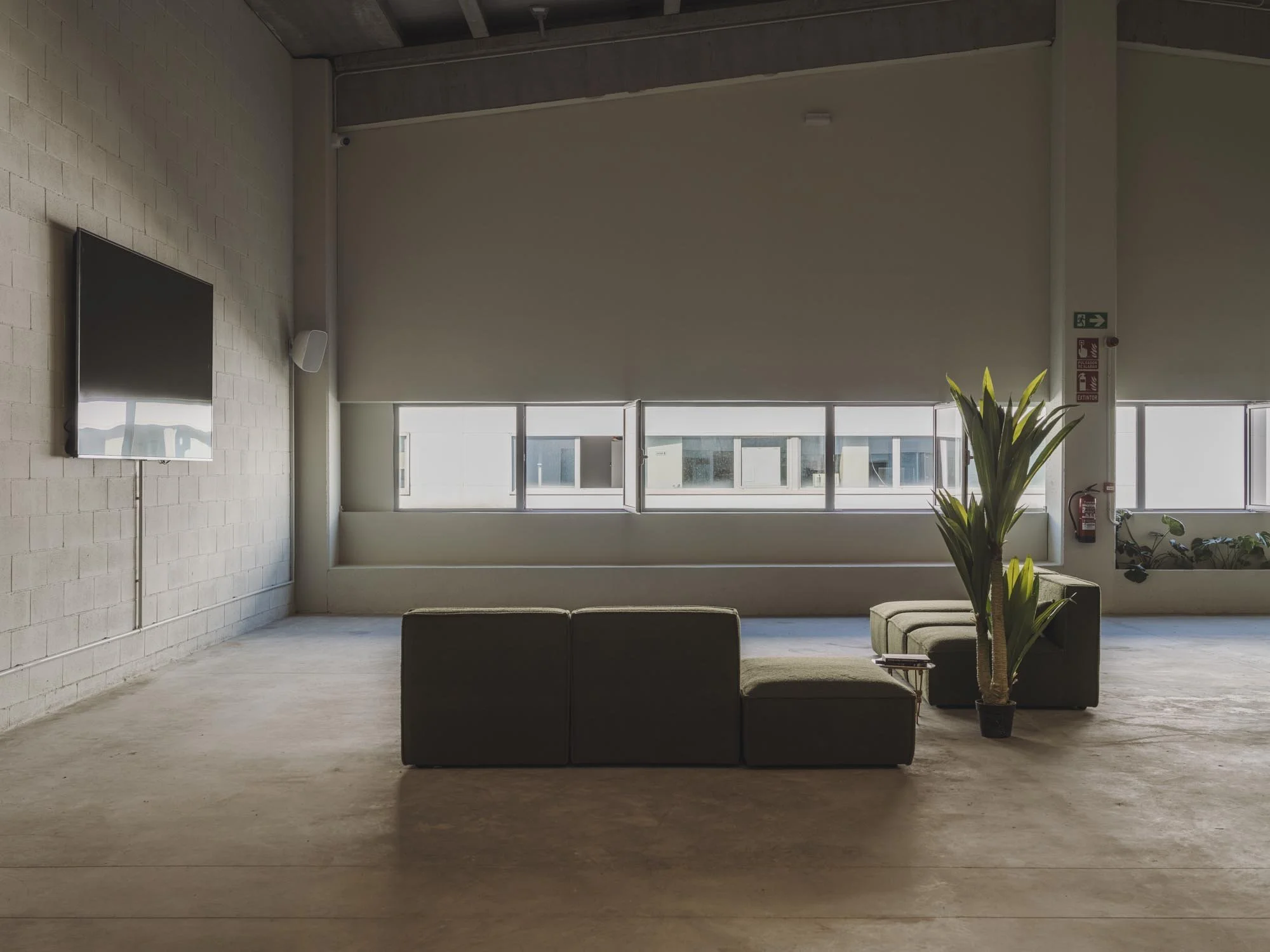 Sala de espera moderna con sillones grises, una planta grande, ventanas largas y cortinas claras, paredes de ladrillo y ventanas con vistas a otros edificios.