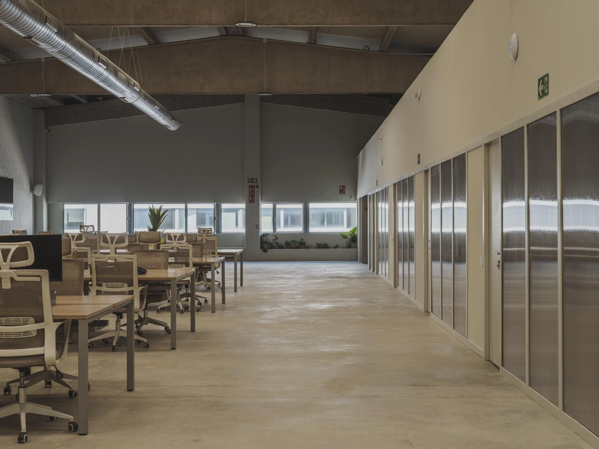 Oficina moderna con escritorios, sillas y plantas. Ventanas grandes que dejan entrar luz natural y paredes con espejos o acrílicos.