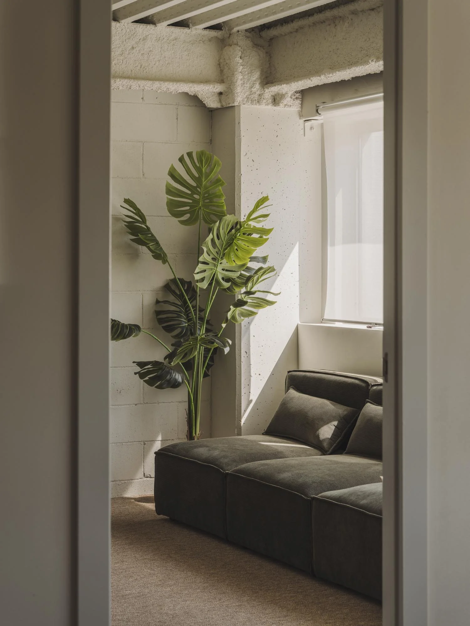 Sala de estar con sofá oscuro y planta grande junto a una ventana