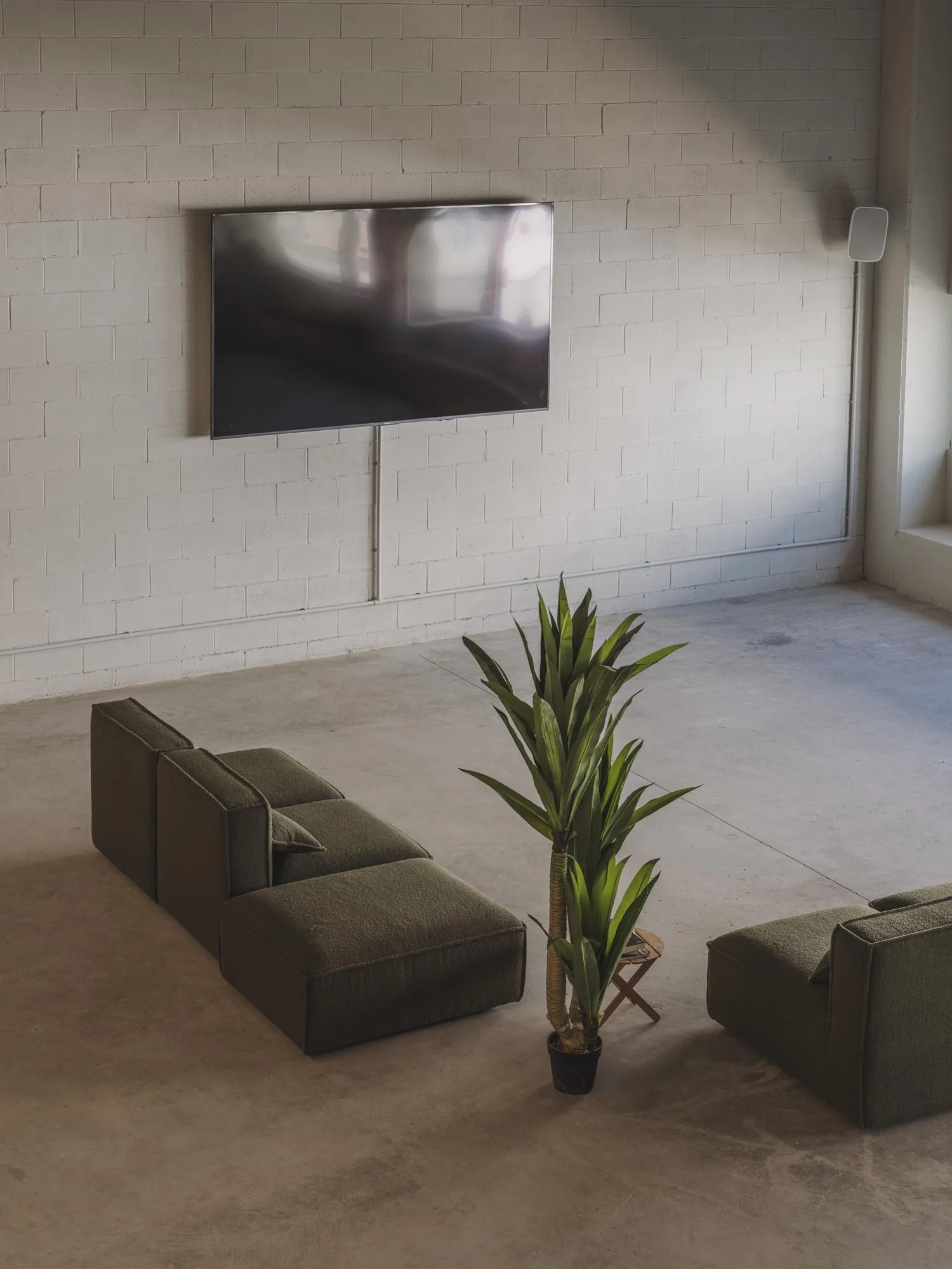 Sala minimalista con sillones oscuros, planta en el centro y televisor de pantalla plana en la pared de ladrillo blanco.