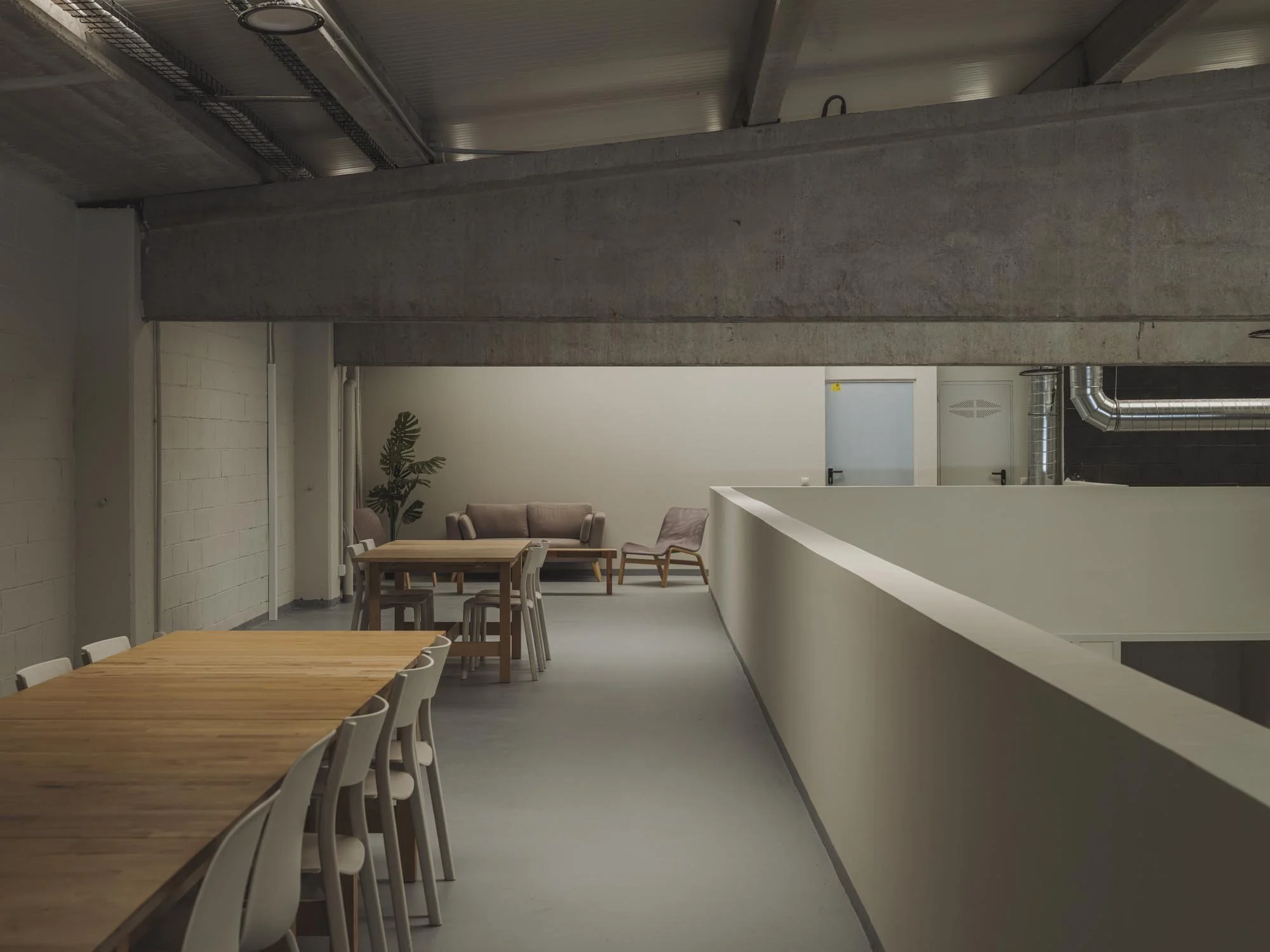 Área de comedor con mesas de madera y sillas blancas, paredes blancas y una planta decorativa, en un espacio moderno y minimalista con acabado en cemento y tuberías expuestas.