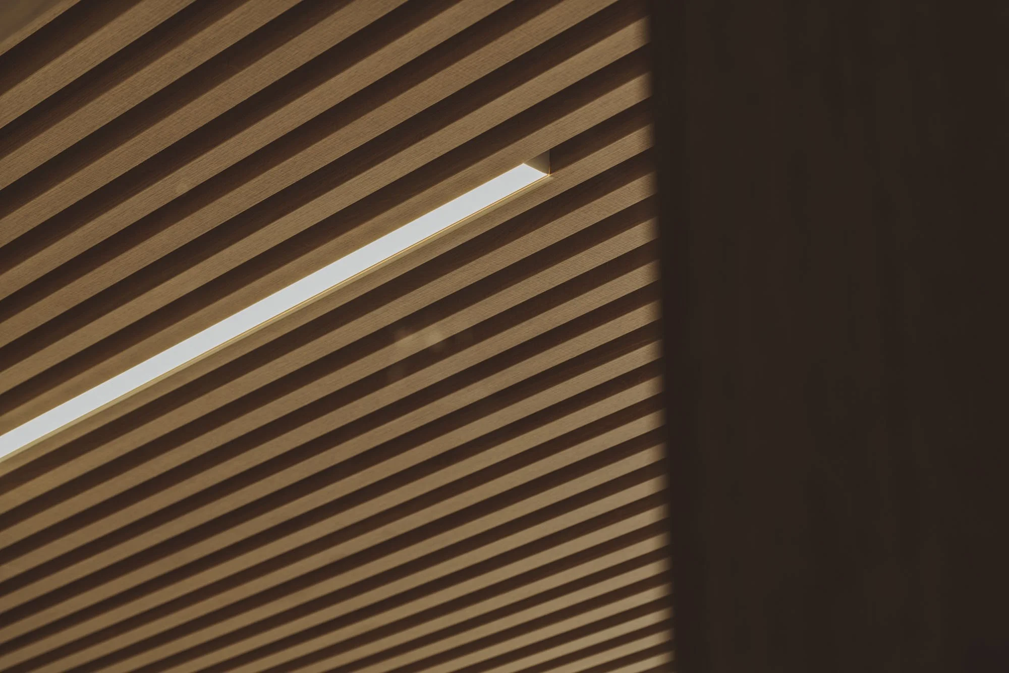 Vista del techo de madera con líneas paralelas y una abertura lumínica en el centro.