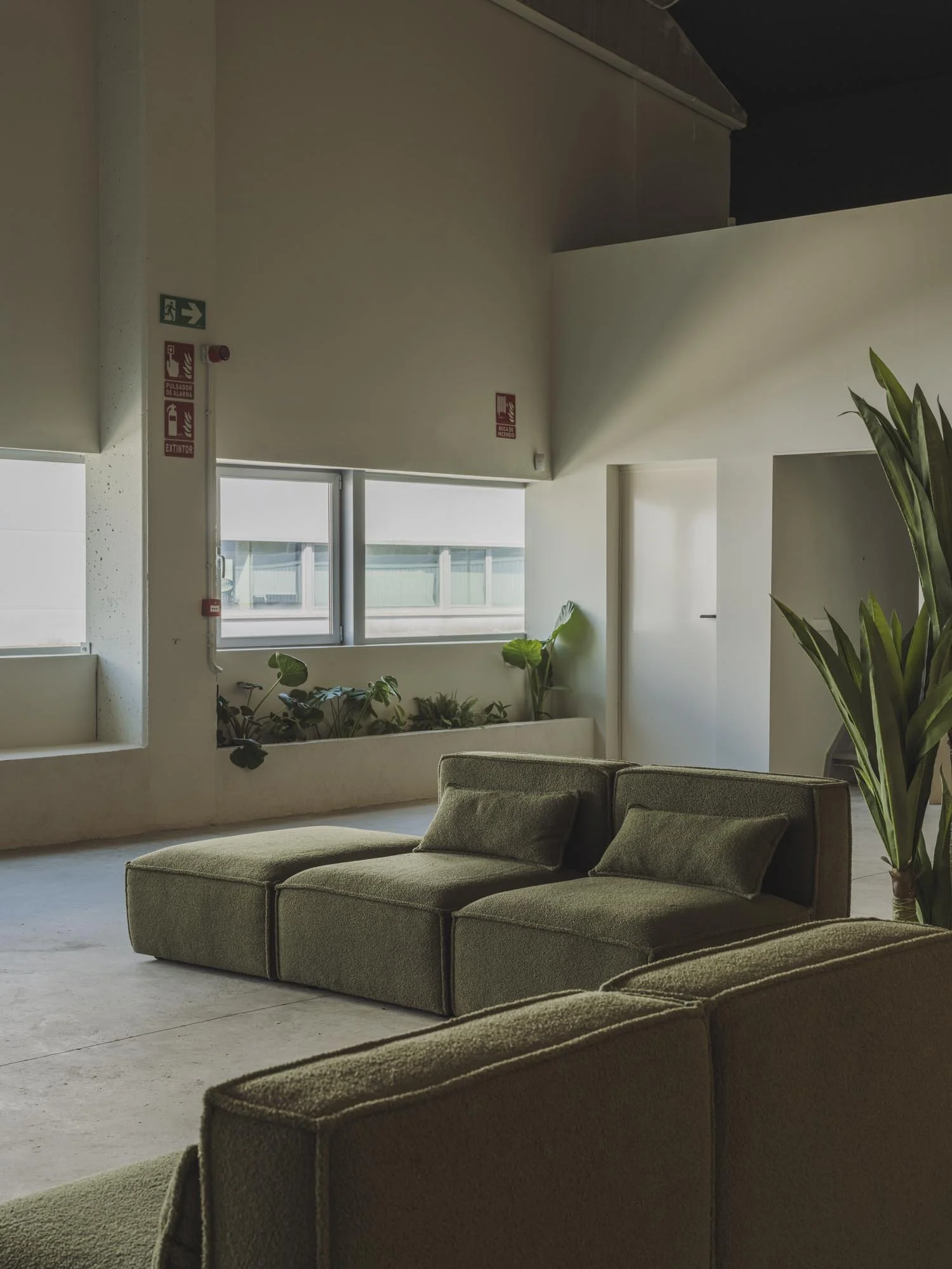 Sala de estar con sofás verdes, plantas junto a la ventana y señal de salida de emergencia.