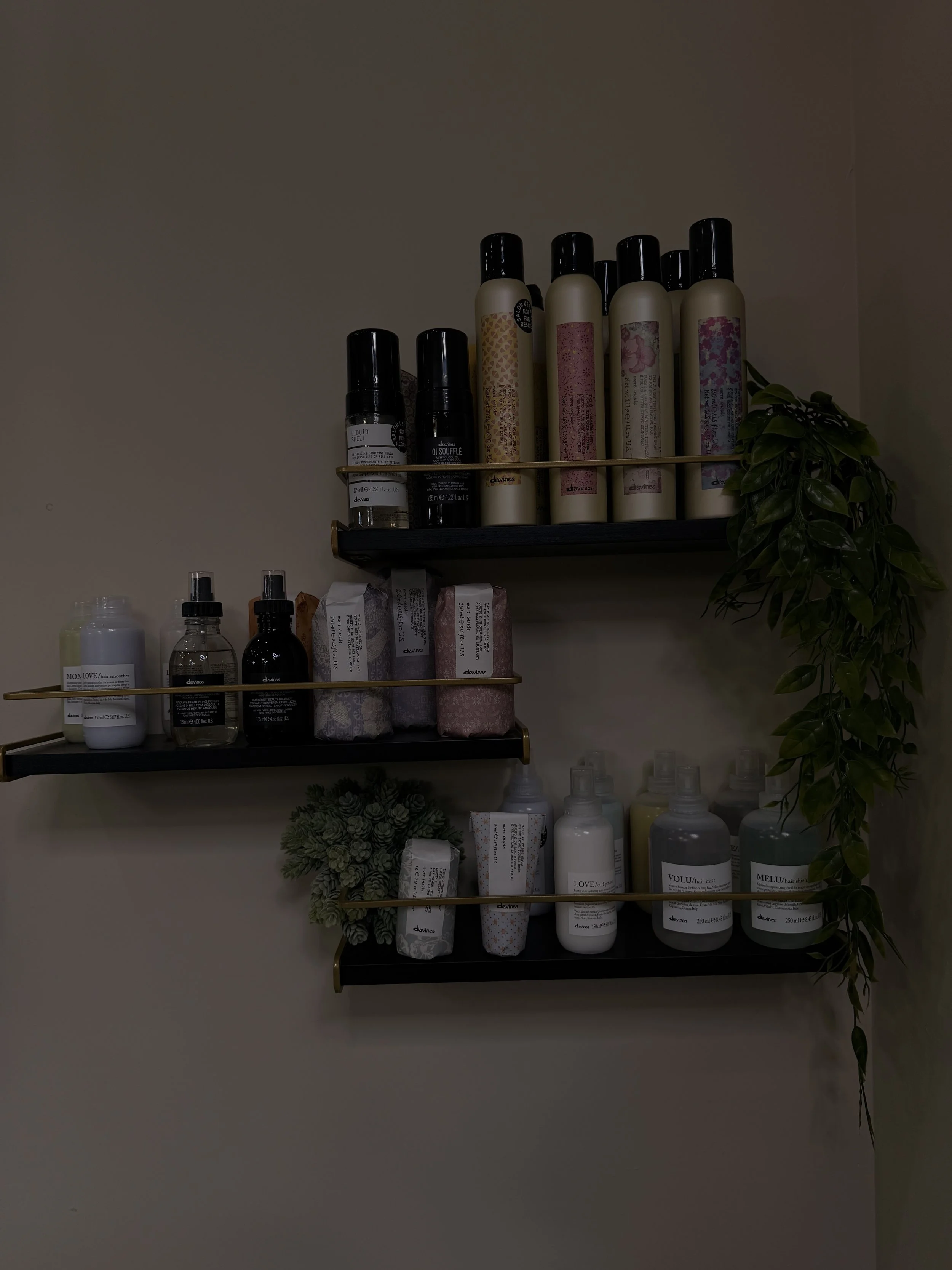 Wall-mounted shelves with bottles and packages of hair care products, with a green leafy plant hanging on the right side.