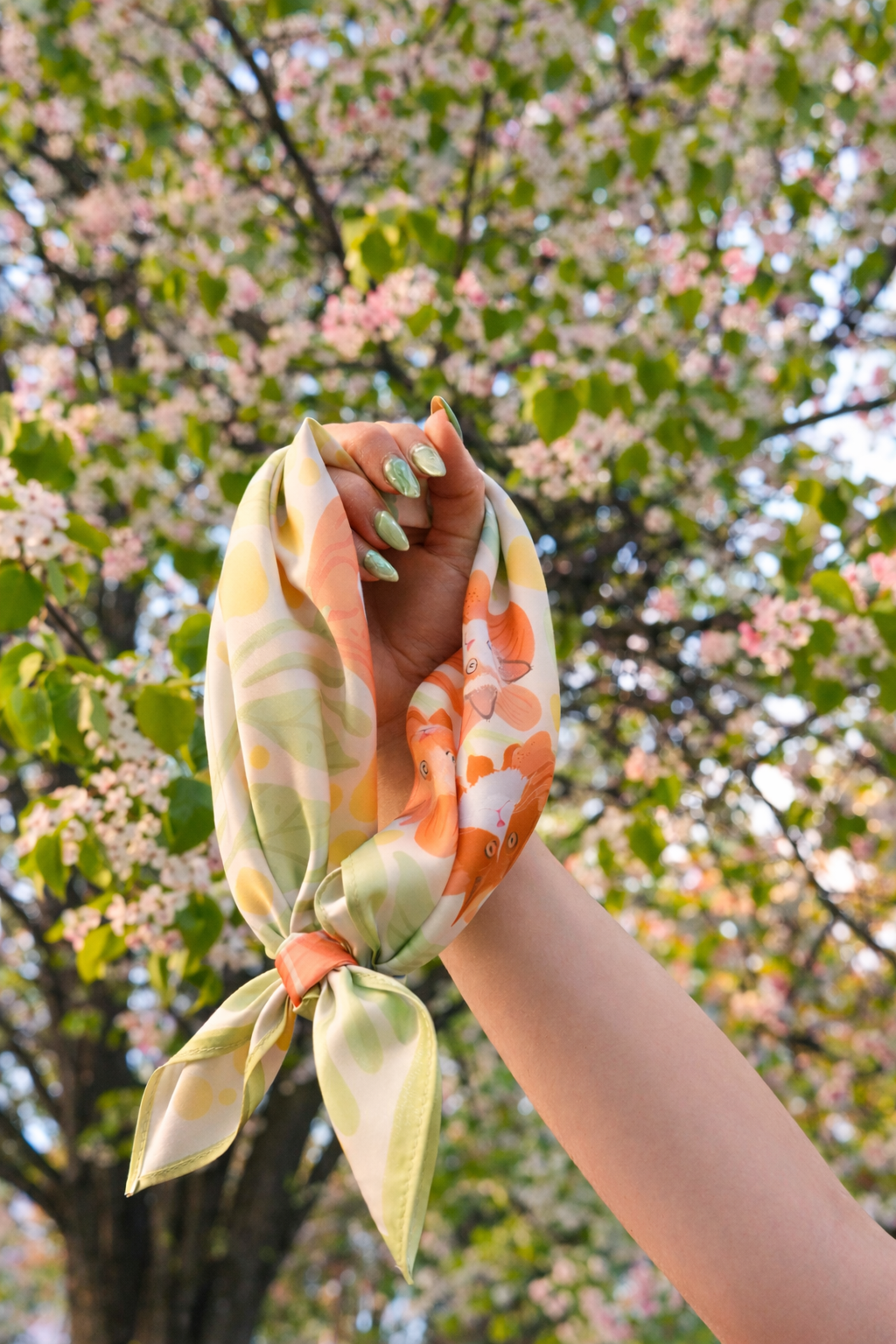 A5CF0642-90AD-4351-8888-293318F74556 2.PNG