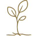 Minimal line icon representing trauma therapy