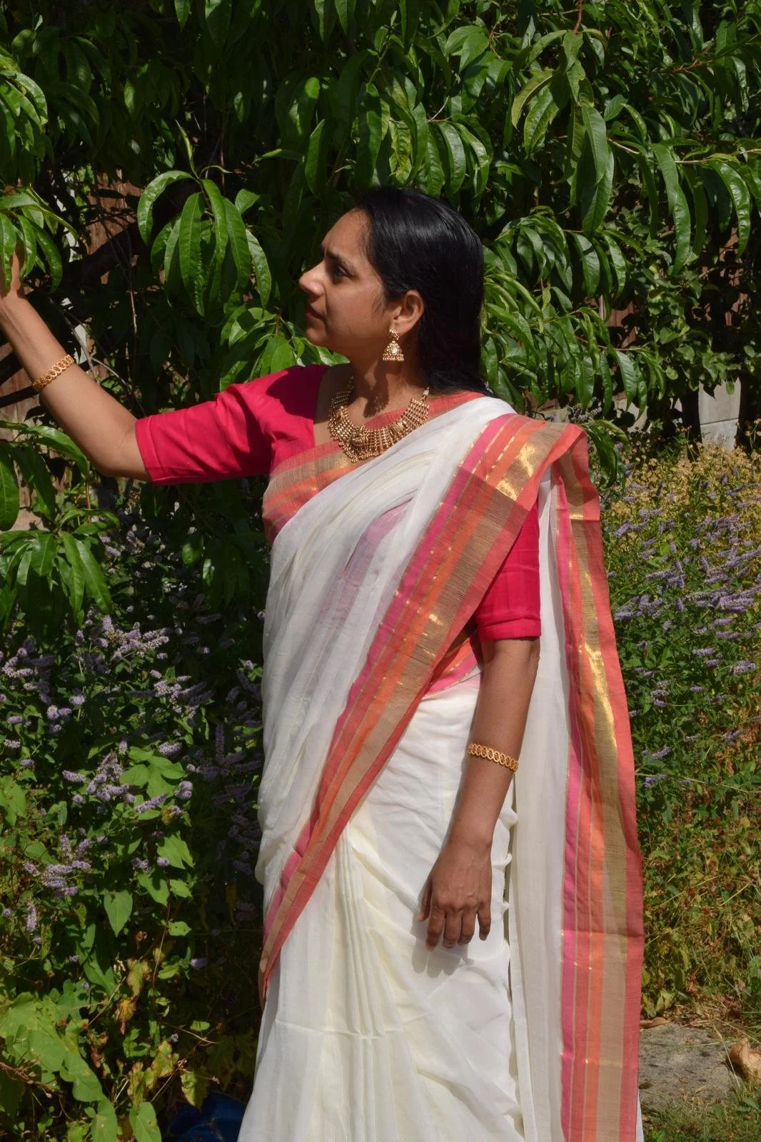 Mul Cotton Saree with Multicolour Border