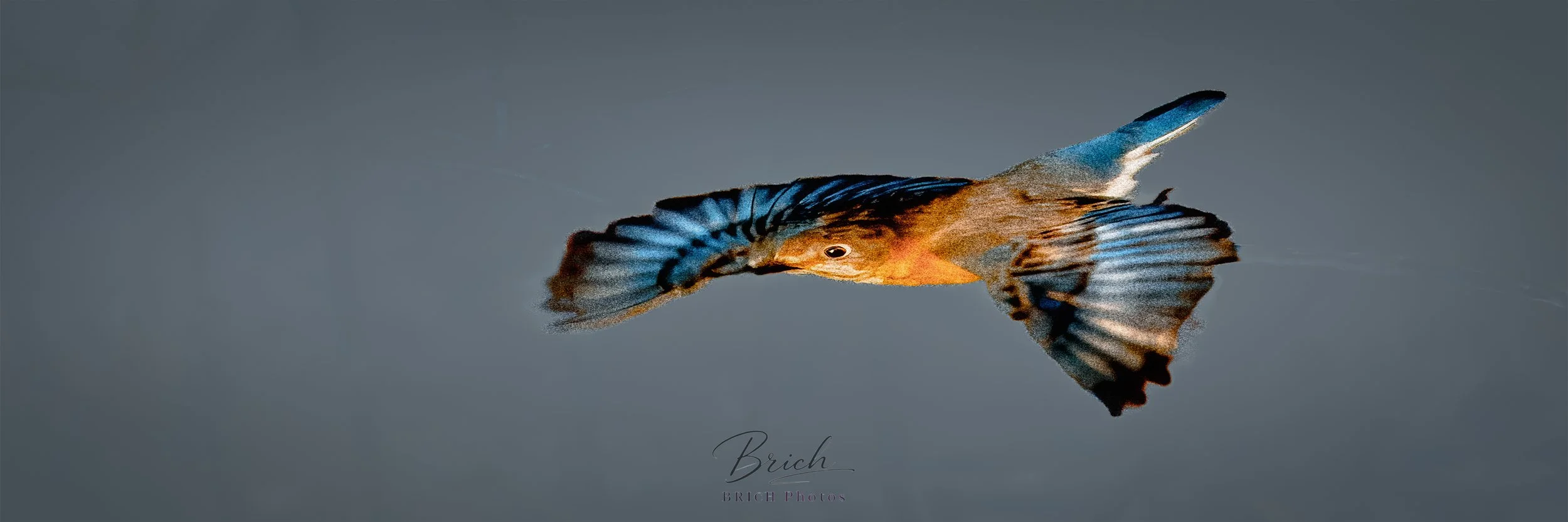 10x30 Canvas print click to buy. All sales final.