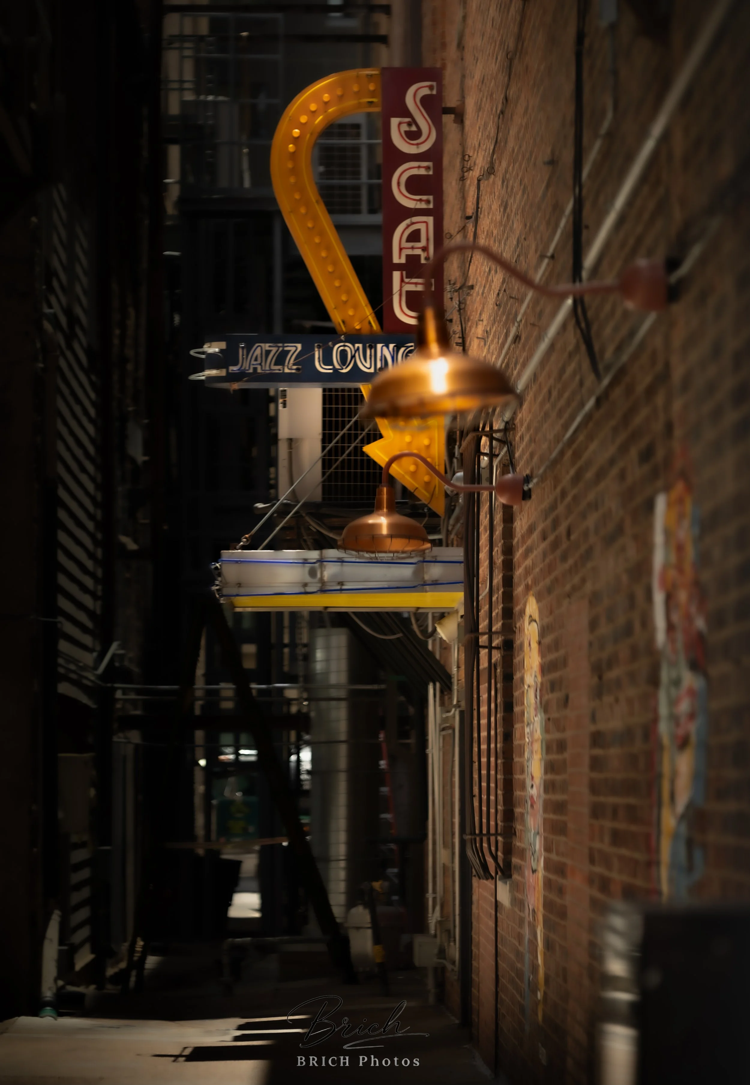 16x24 Canvas print click to buy. All sales final.