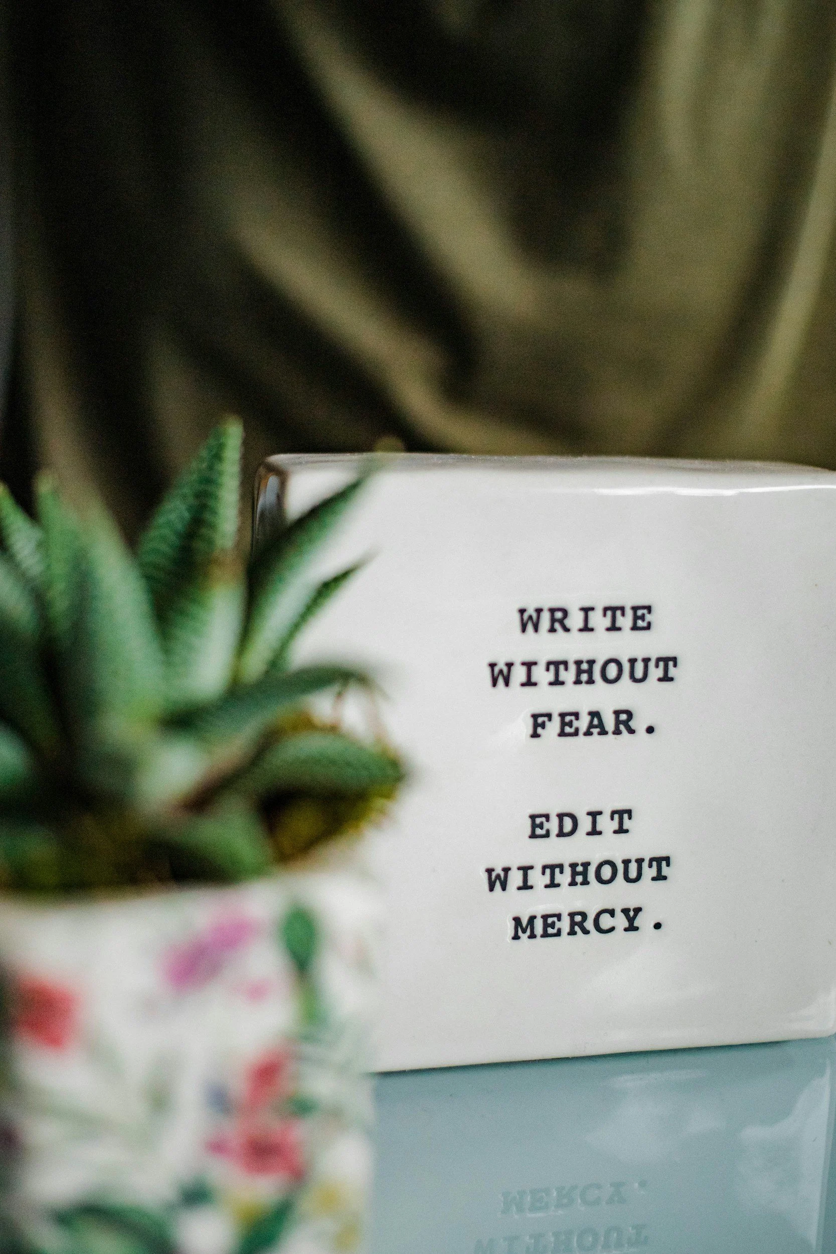 A white mug with the quote 'Write without fear. Edit without mercy.' next to a small potted succulent plant on a reflective surface.