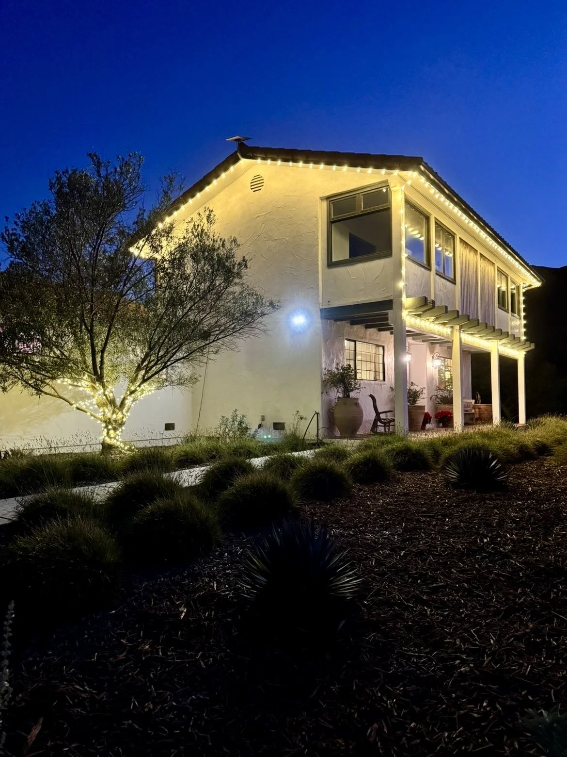 A two-story house decorated with string lights, situated in a landscaped yard with a tree wrapped in lights at night