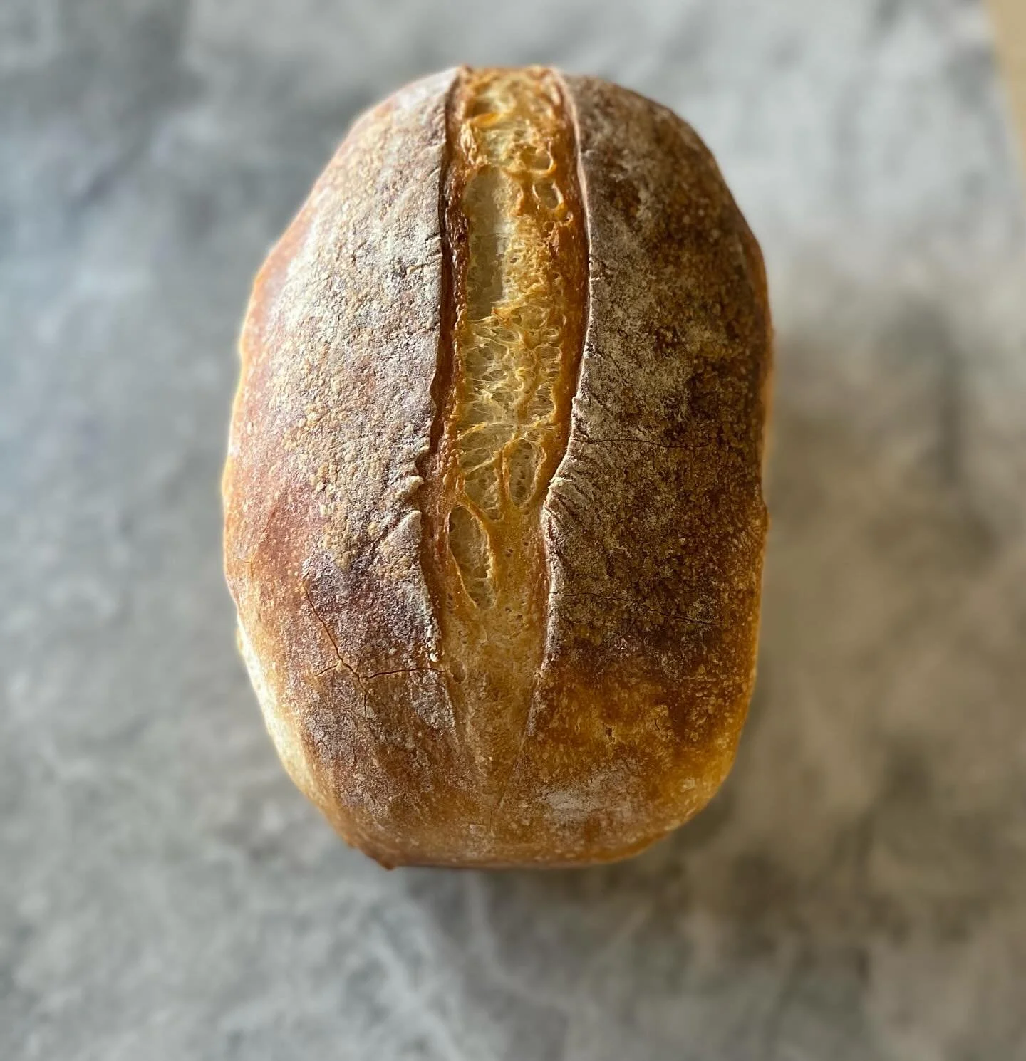 Sourdough Sandwich Loaf
