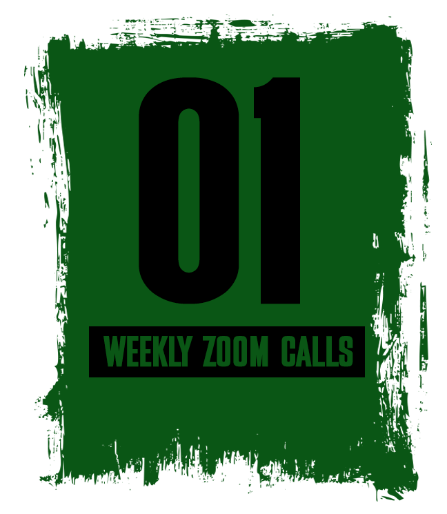 6 week mens intake - 01 weekly zoom calls.png