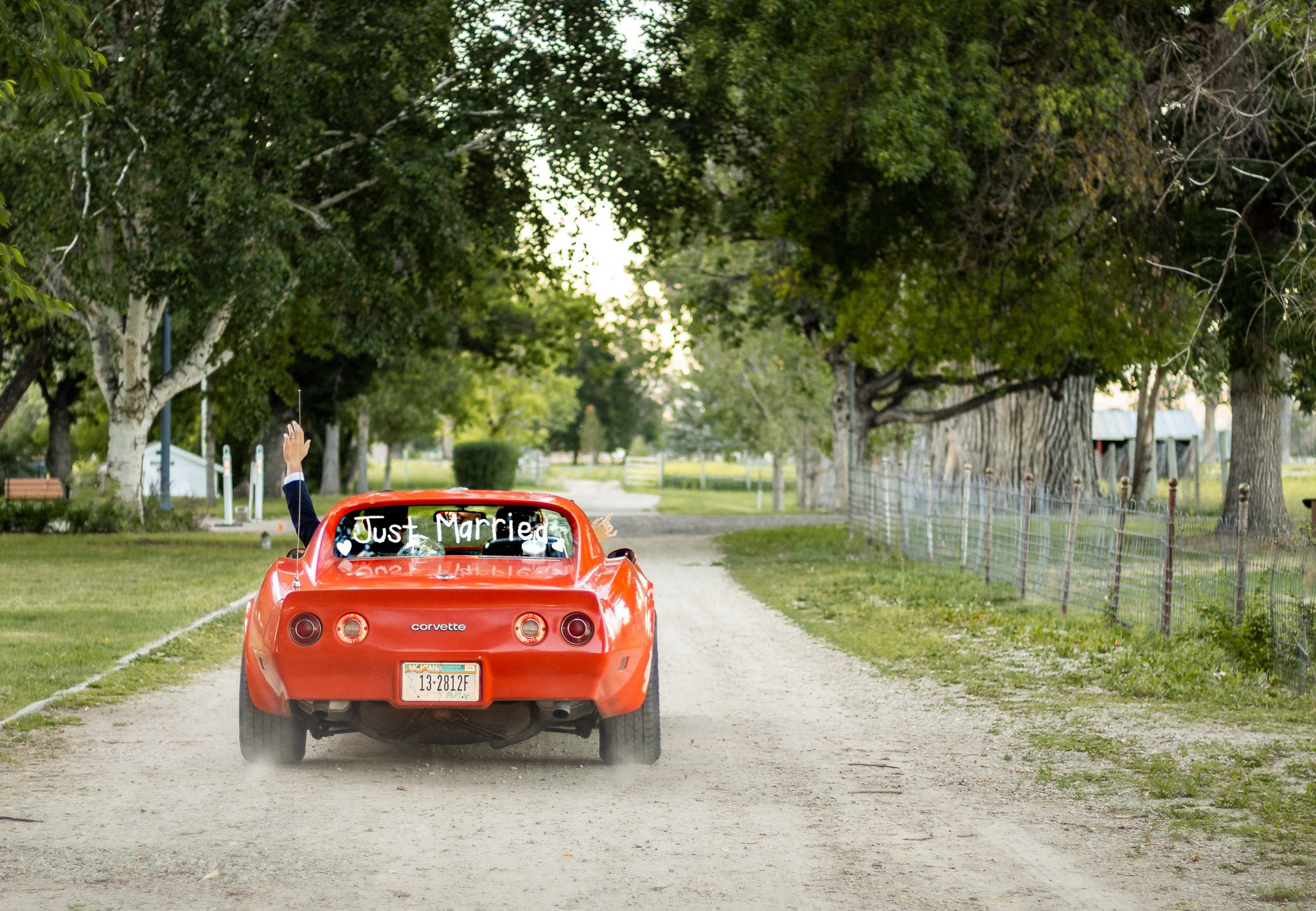 A red Corvette with a 'Just Married' sign on the back window, driving down a dirt road surrounded by trees, with one person sticking their arm out of the window.