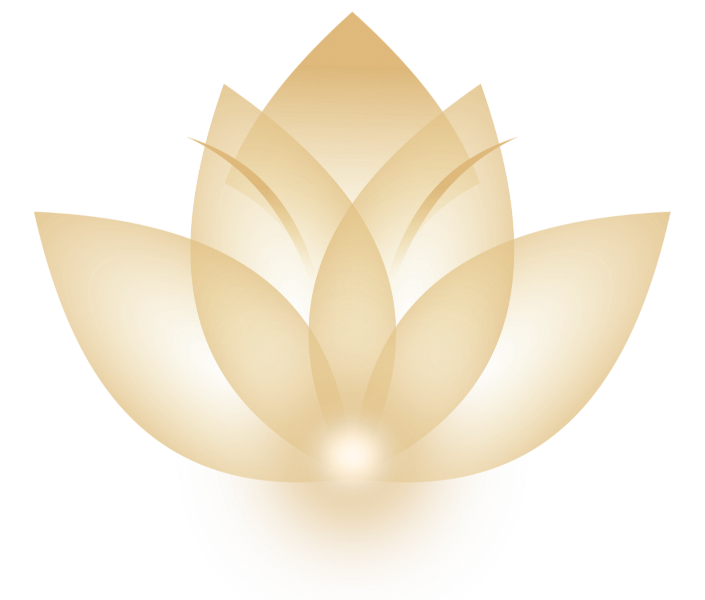 Verschiedene beleuchtete Lotusblumen in sanften Gelb- und Beigetönen.