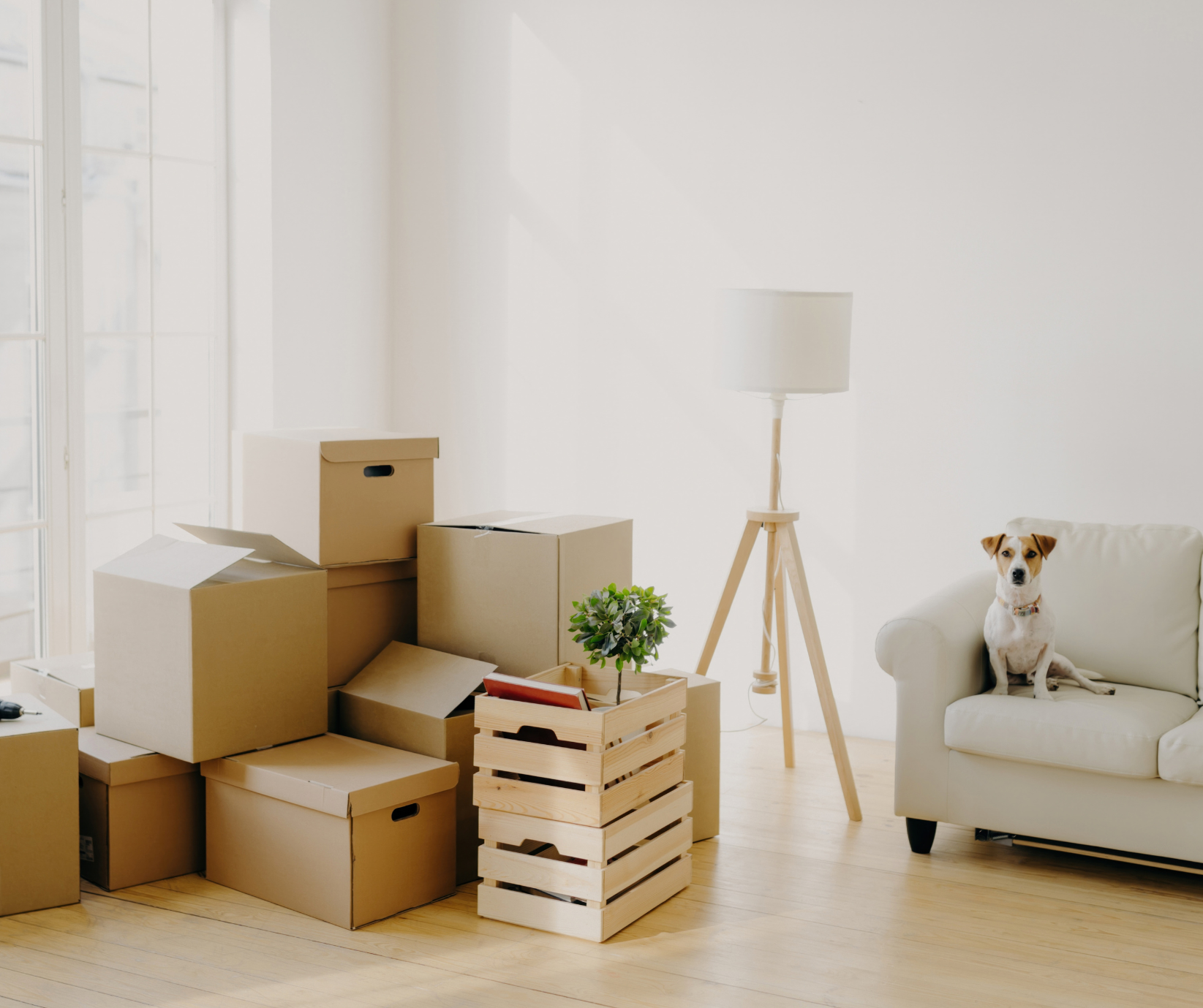 What Buyers Should Know Before Starting Their Home Search