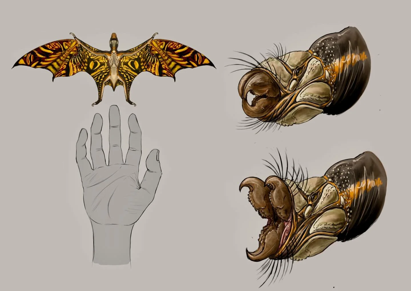More on these

#art #illustration #conceptart #creaturedesign #creature #monster #bat #moth #butterfly #dragon #fantasy #darkfantasy #mythology #horror #horrorart #artistsofinstagram