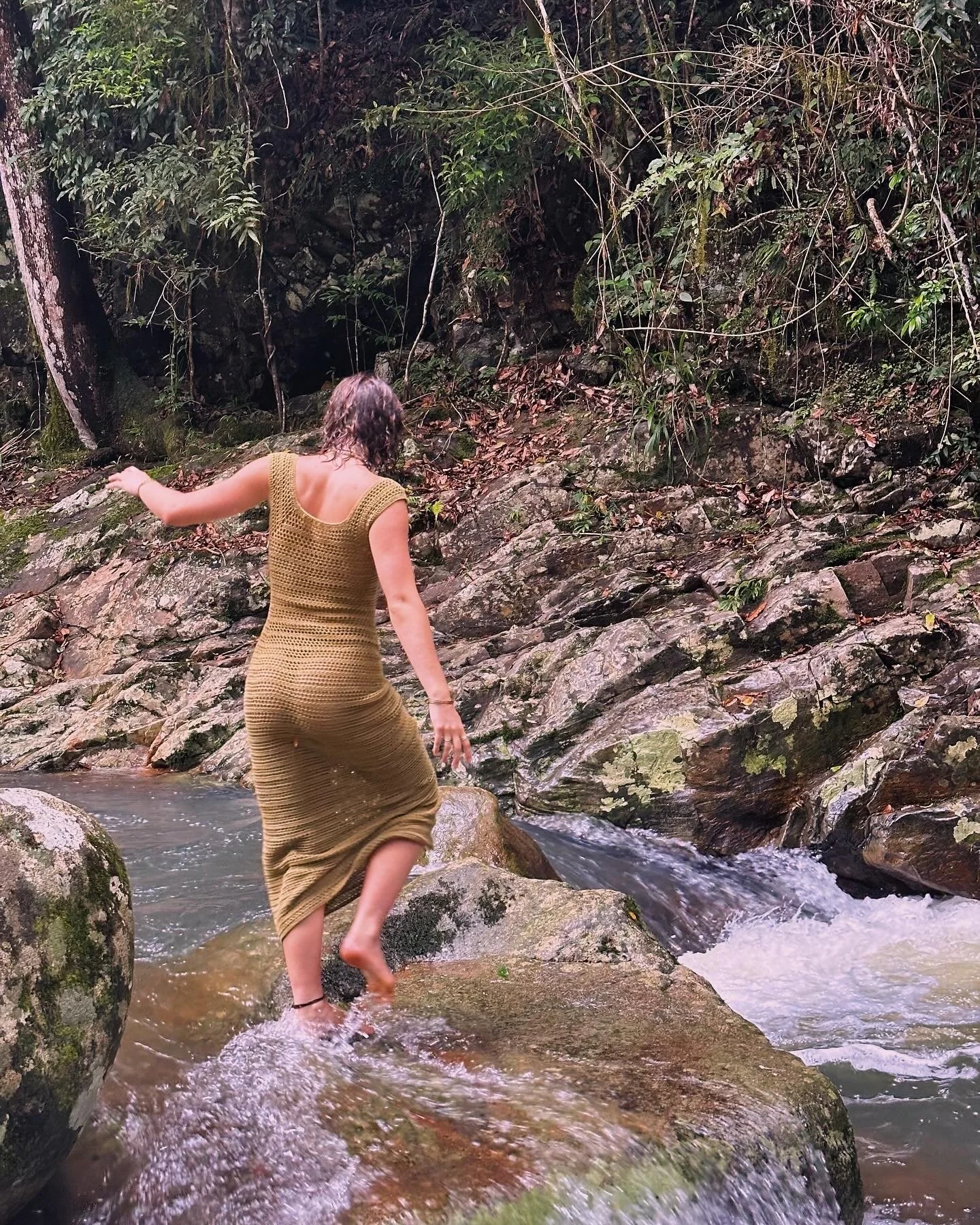 Daviesia Dress